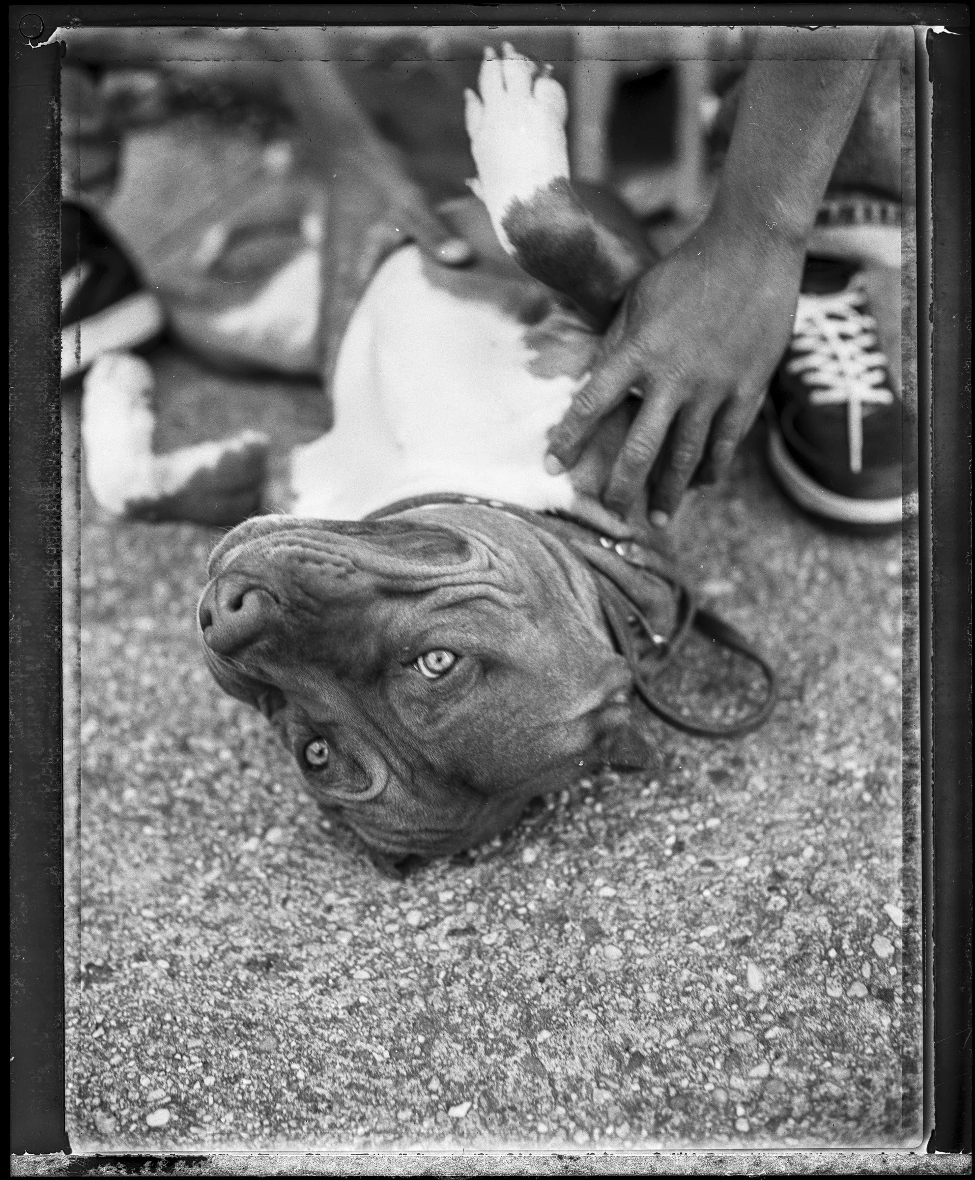 Redman-22932-29-UPDATE.jpg
