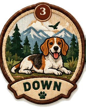Down Trail Badge