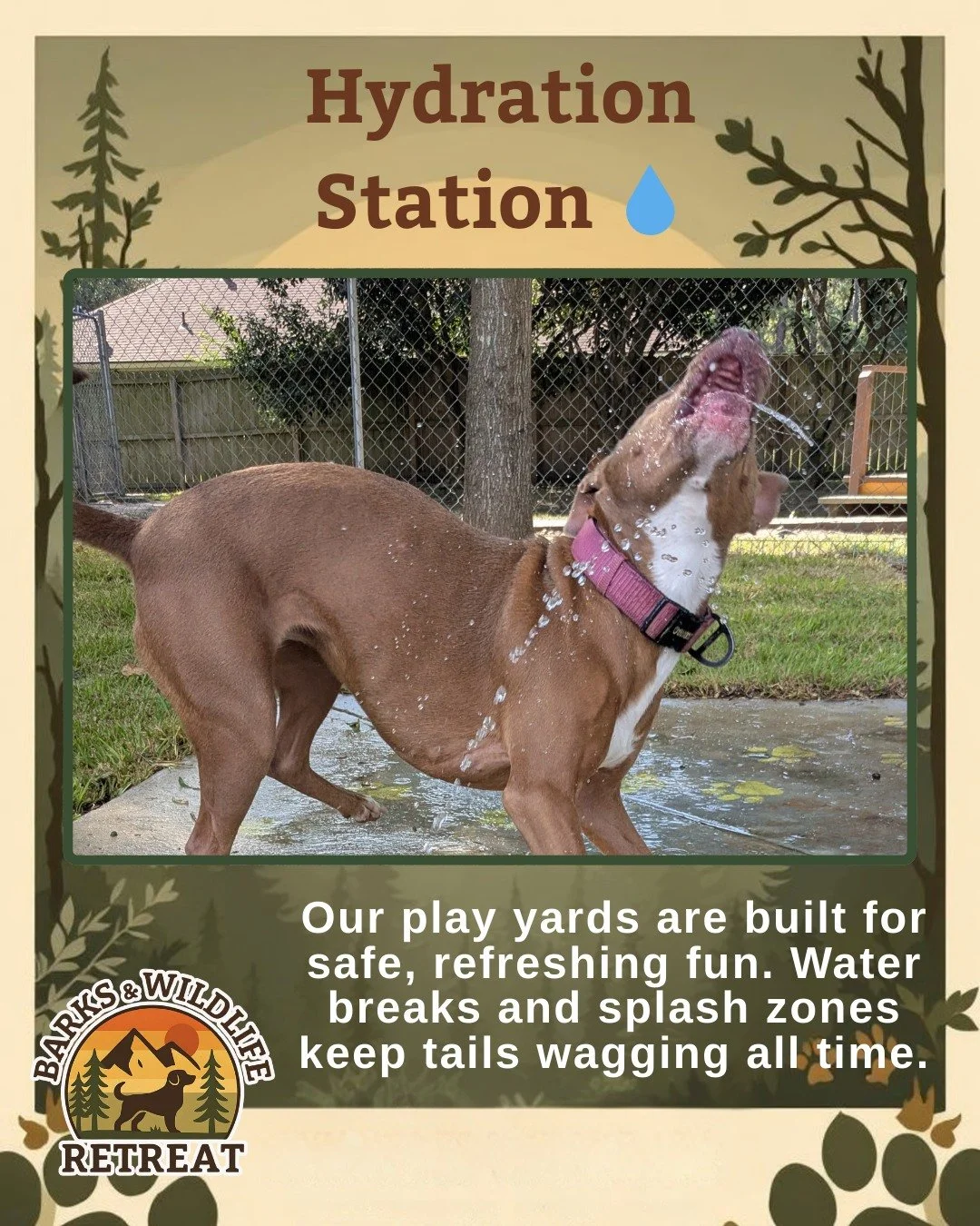 A hydrated pup is a happy pup. 💧🐾
This pups know how to stay cool and have fun! Would your dog go straight for the water stream or stick to the sidelines?

Tell us your pup&rsquo;s splash zone style in the comments! 👇

#HydrationStation #WaterPlay