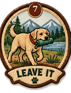 Leave It Trail Badge