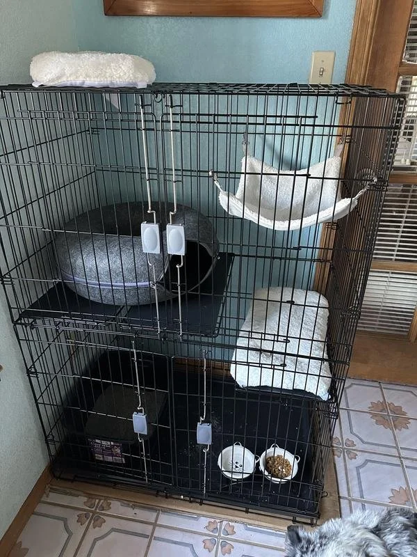 Three-level cat condo with shelves, bedding and a litter box