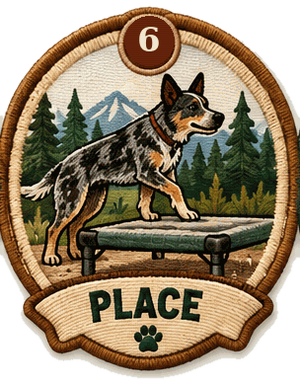 Place Trail Badge