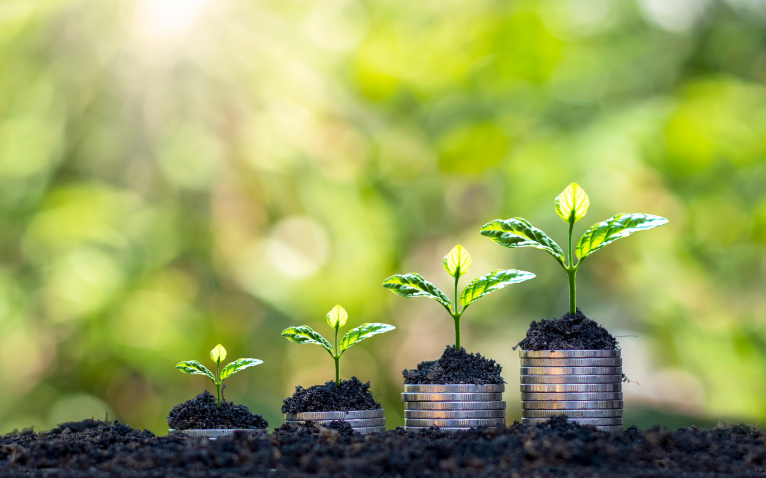 Creating the Life You Want with a Growth Mindset