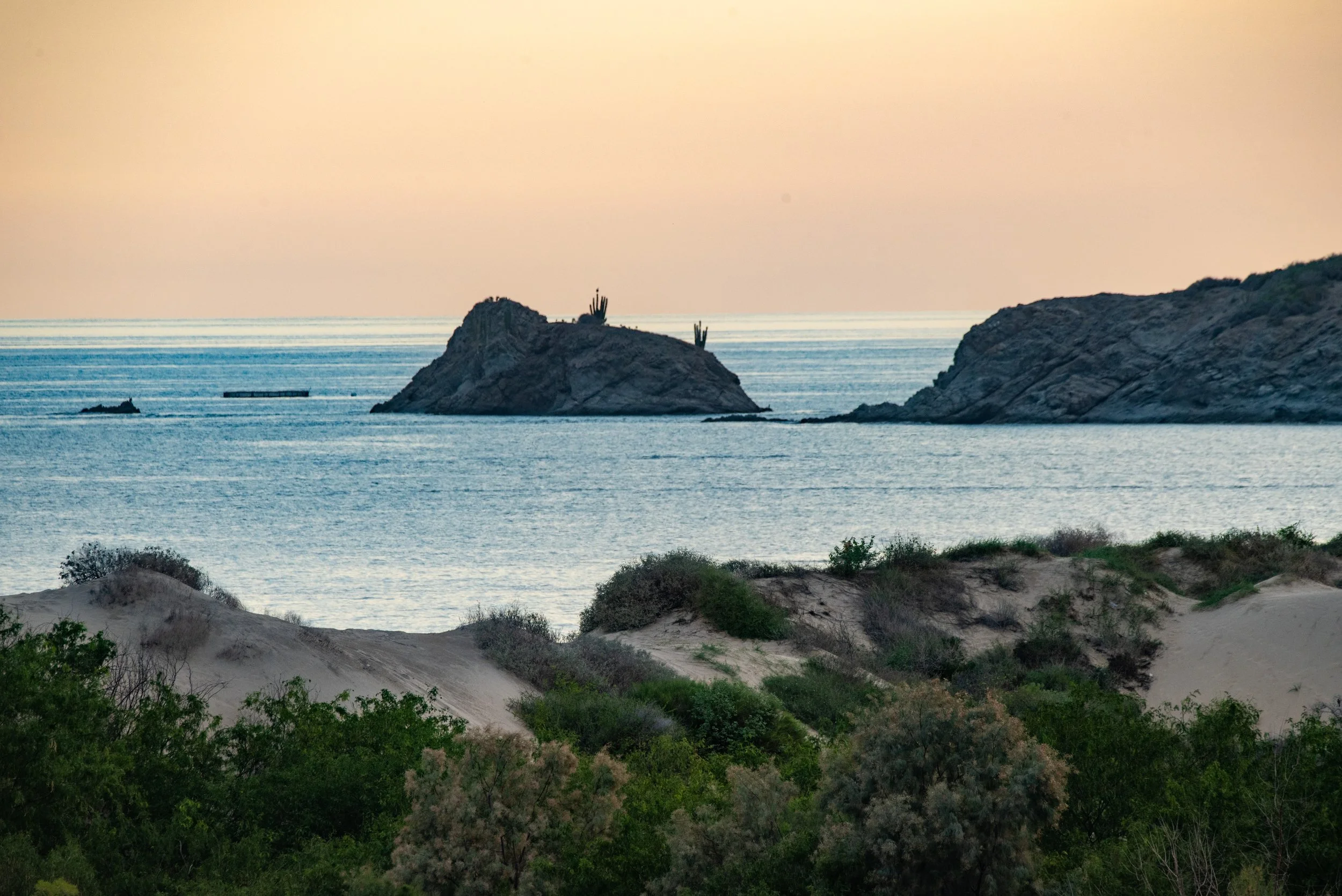 810_4258.jpg