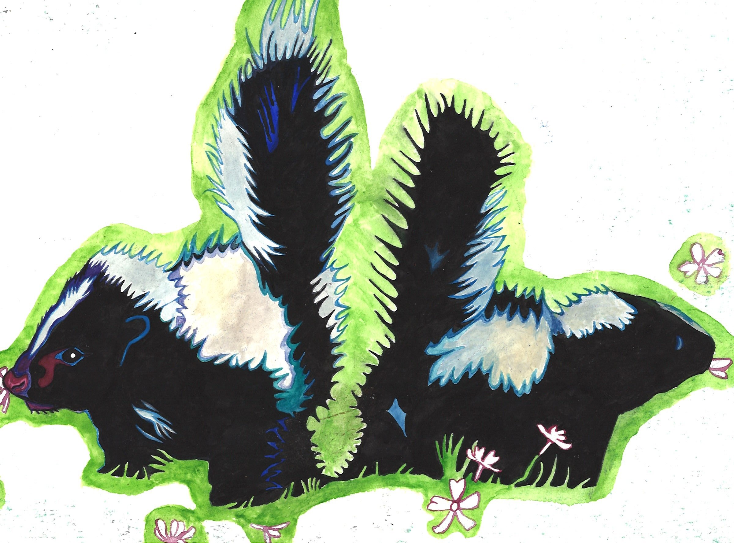 Two Baby Skunks 2025