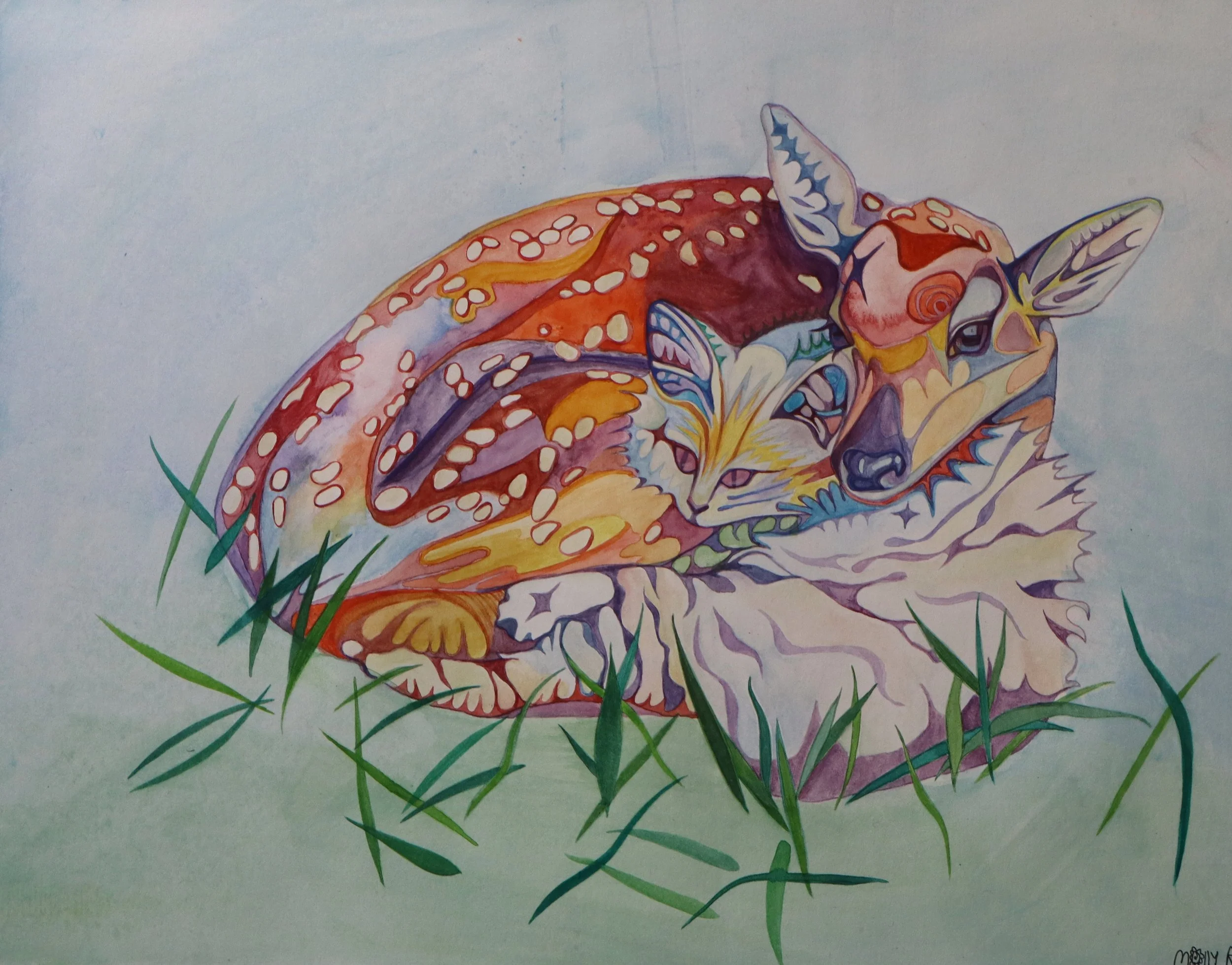 Cat and Deer Friends 2025