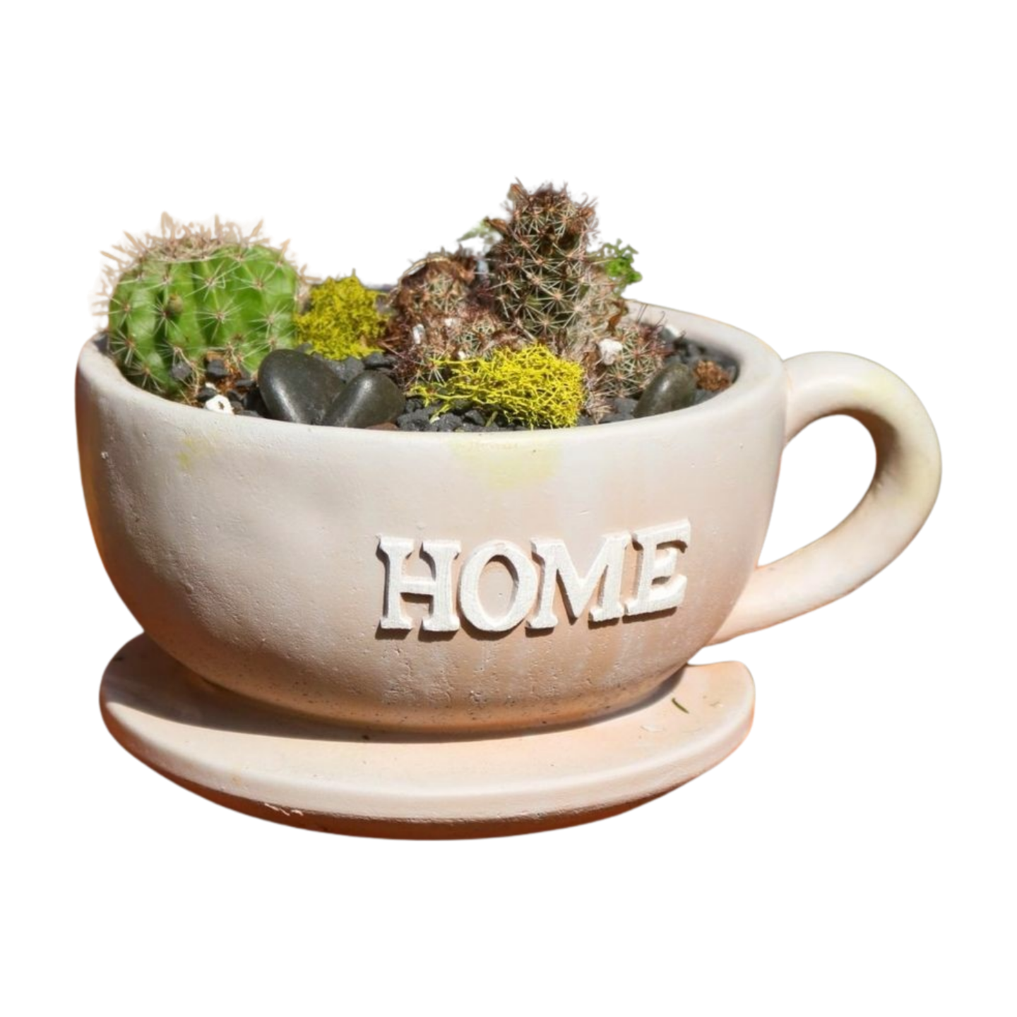 White_Background.zip - IMG_6709.png