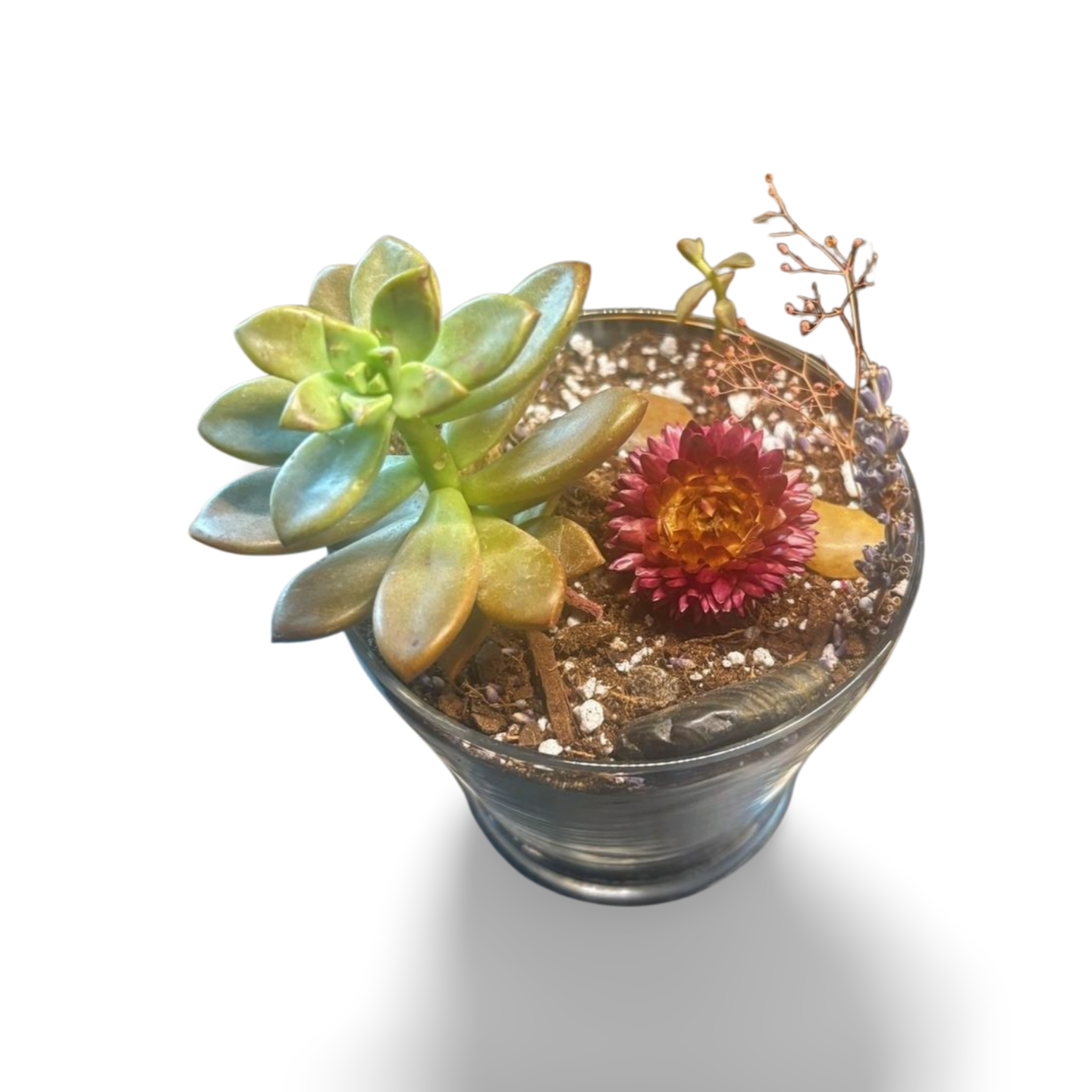 3D_Shadow.zip - IMG_1424.png