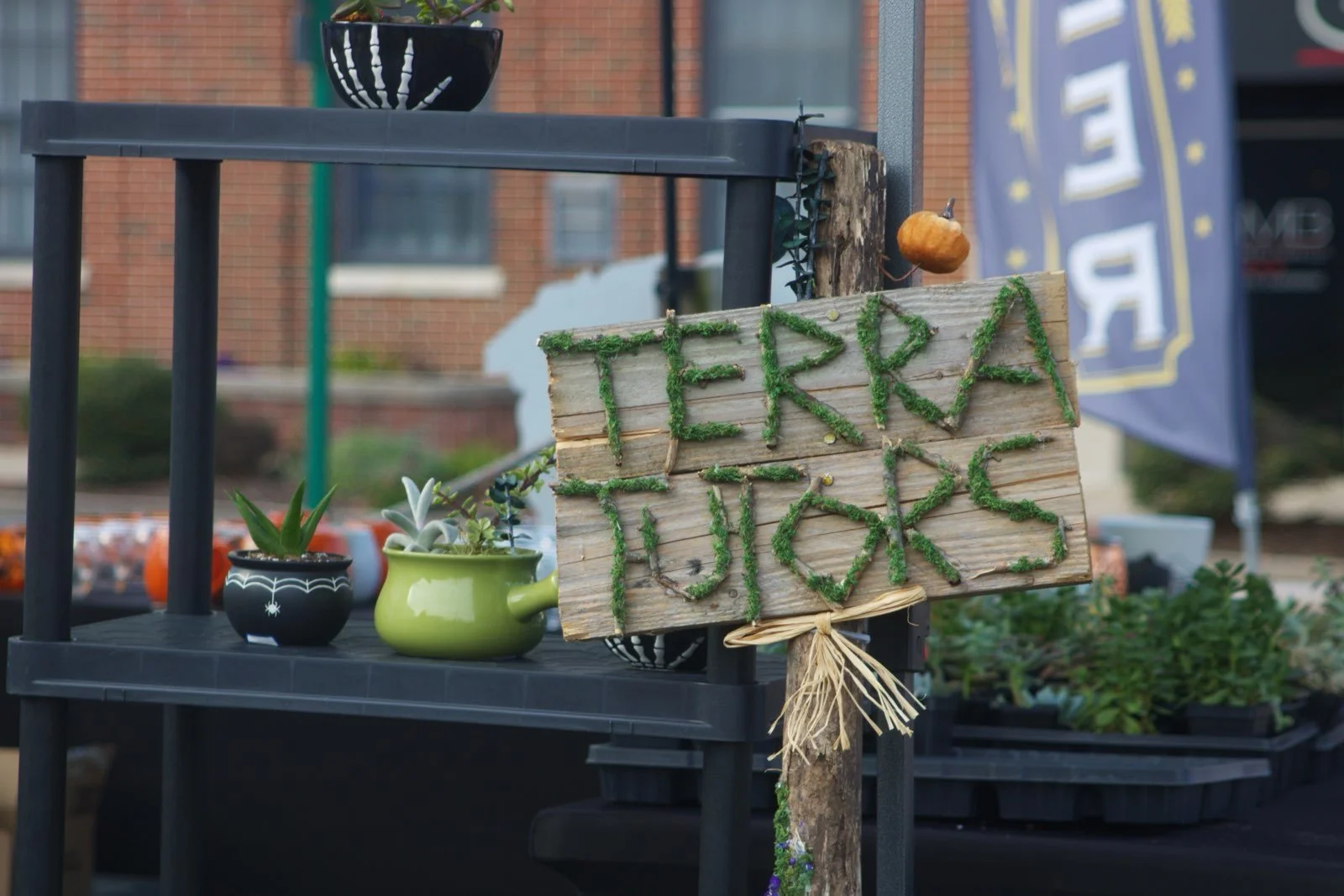 A wooden sign with green moss spelling 'TERRA JUICERS' is attached to a tree trunk. In the background, there are potted plants and a blue fabric banner with some text and star graphics.