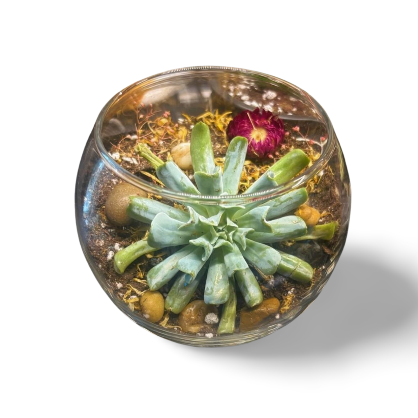 3D_Shadow.zip - IMG_1417.png