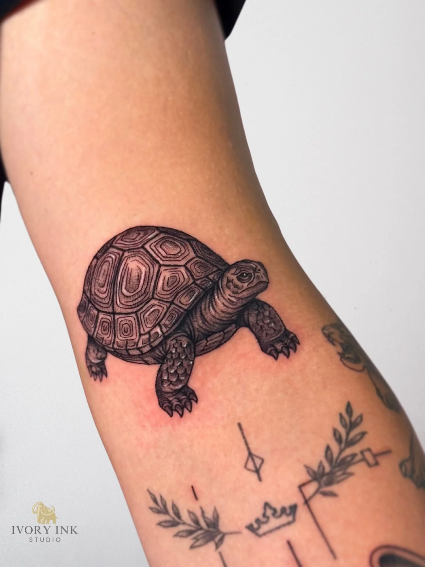 Slow and steady wins the race 🐢

DM for a quote 
&bull;
&bull;
&bull;
#turtletattoo #microrealismtattoo #kissimmeetattooartist
#orlandotattooartist #tattookissimmee #tattooorlando