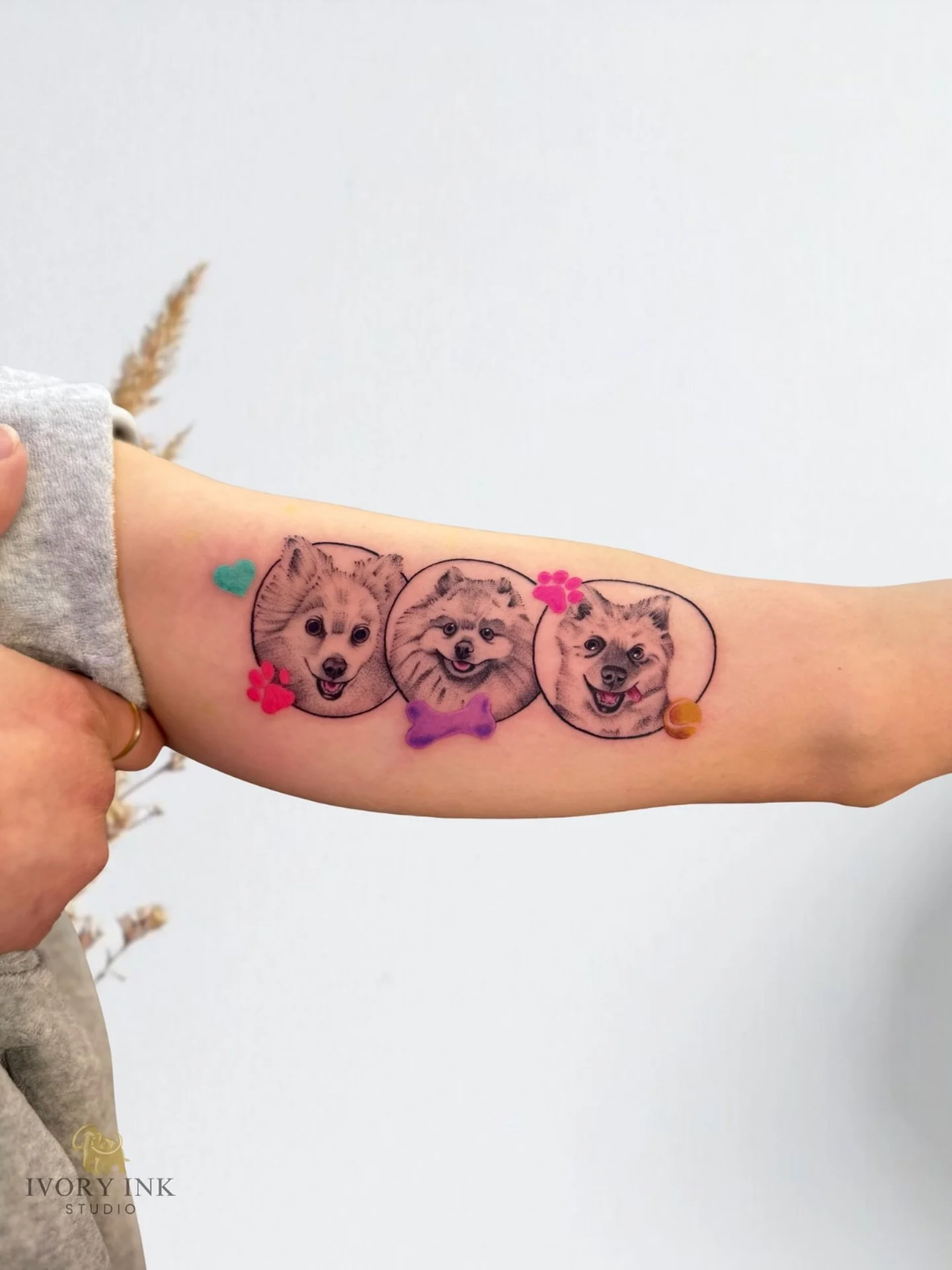 Three souls, three stories, one forever bond 🐾🐶🎾

DM for a quote 💌
&bull;
&bull;
&bull;
#pettattoo #colortattoo #orlandotattooartist
#kissimmeetattoo #kissimmeetattooartist
#orlandotattoos #tattookissimmee #tattooorlando
#petportraittattoos