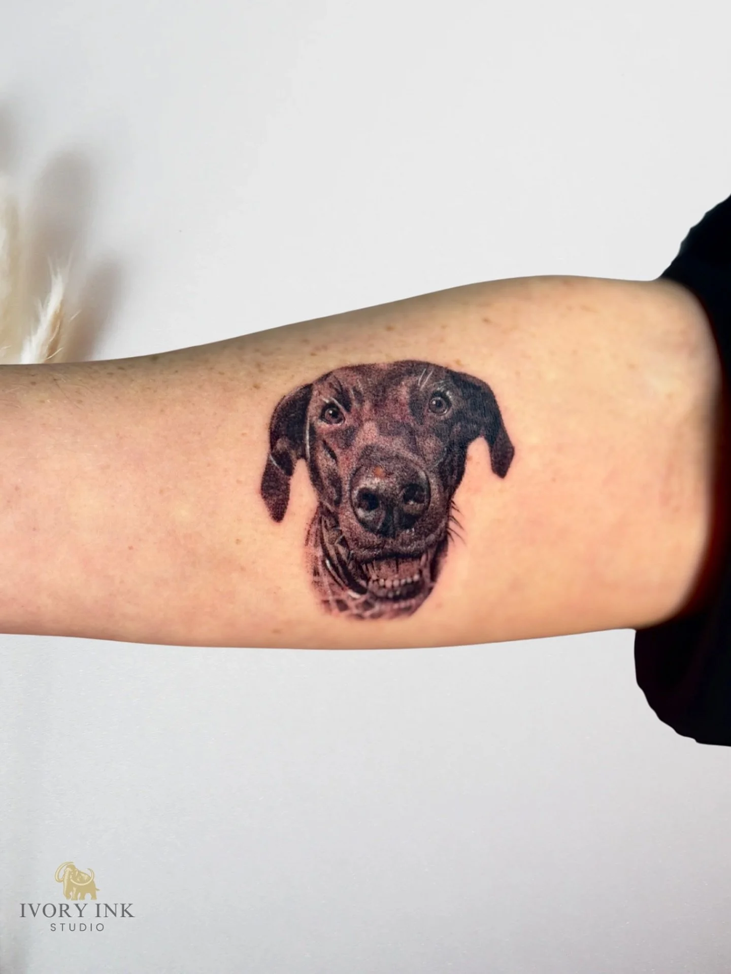 Some bonds are meant to be eternal 🐶🐾
DM for a quote 💌
&bull;
&bull;
&bull;
#dogportraittattoo #dogportraittattoos #kissimmeetattoos #orlandotattoos #tattookissimmee #tattooorlando #tattooartistkissimmee #tattooartistorlando