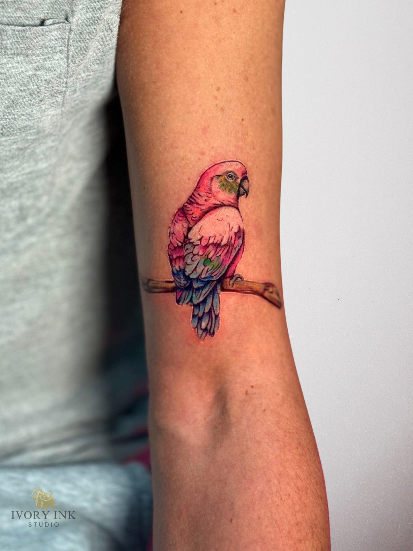 Wings grow when you use them &mdash; the branch won&rsquo;t hold you forever. 🦜🪾

DM for a quote 💌
&bull;
&bull;
&bull;
#kissimmeetattooartist #orlandotattooartist #kissimmeetattoostudio #orlandotattoostudio