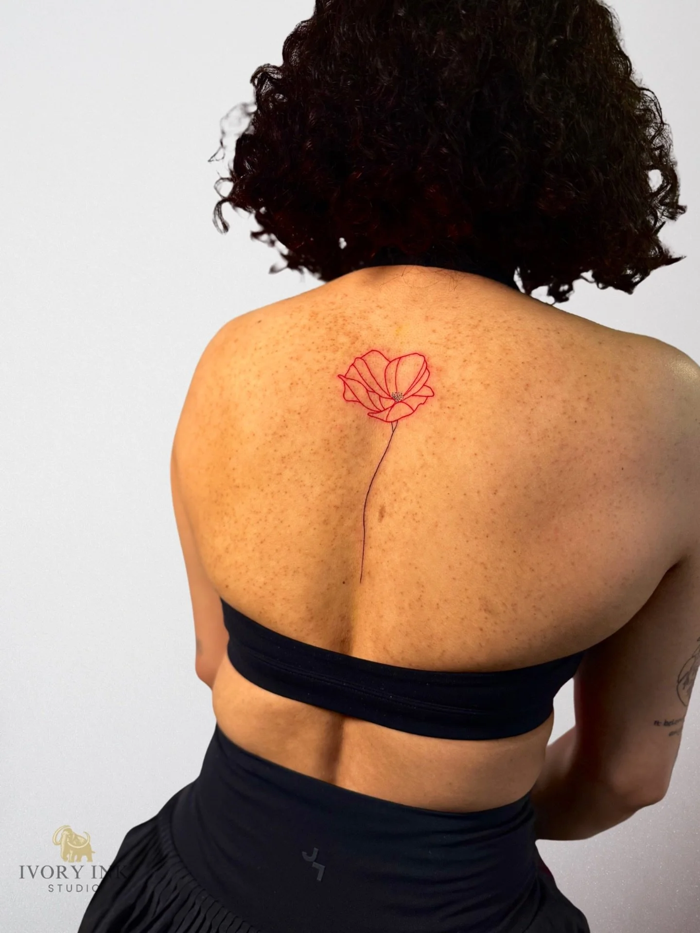 Delicate, feminine, and effortlessly elegant. ✨💫

DM for a quote 💌
&bull;
&bull;
&bull;
#kissimmeetattooartist #orlandotattooartist #orlandofinelinetattooartist #orlandofinelinetattoo #orlandotattoostudio