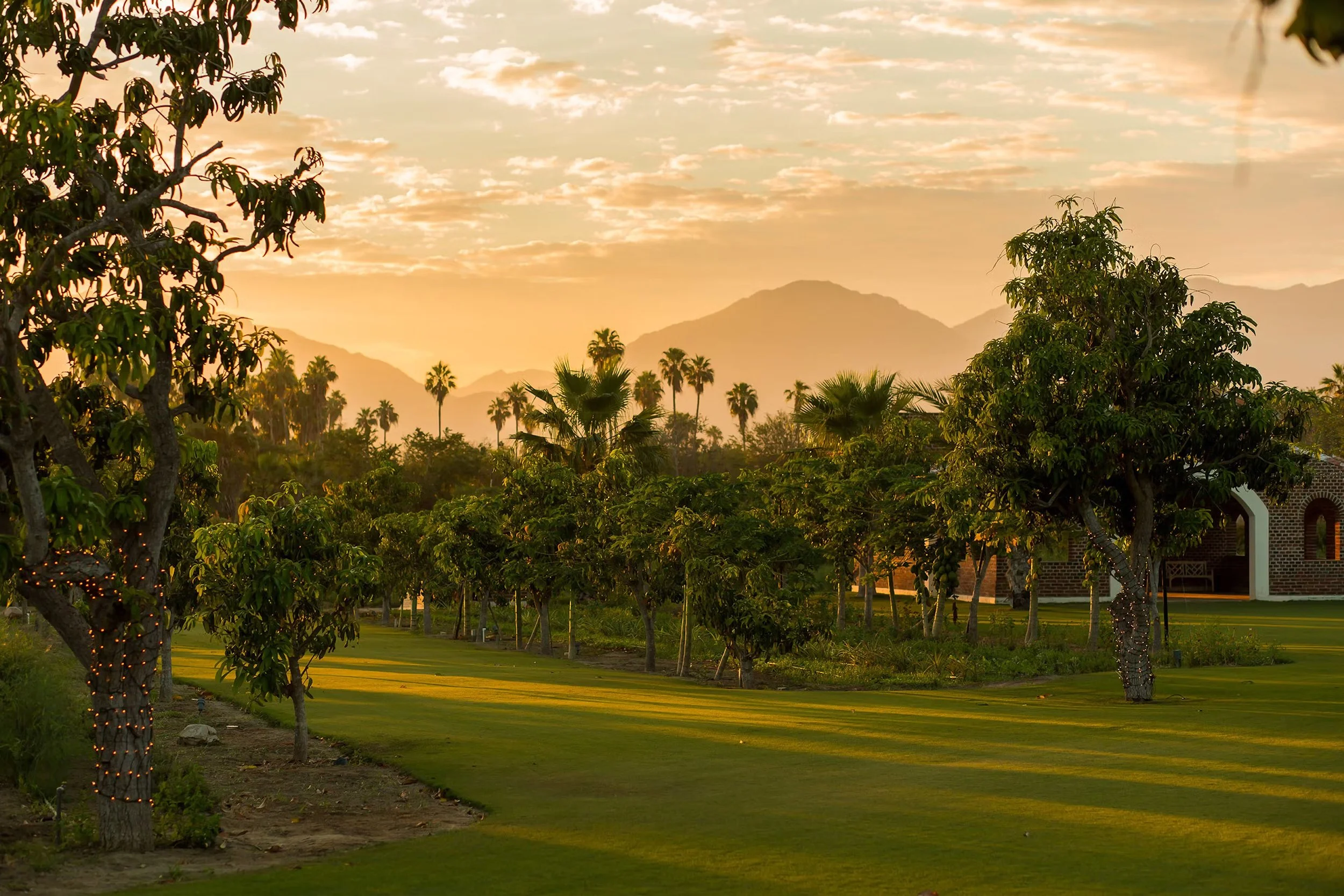 Flora Farms Sunset over a lush golf course with trees and mountains in the background.