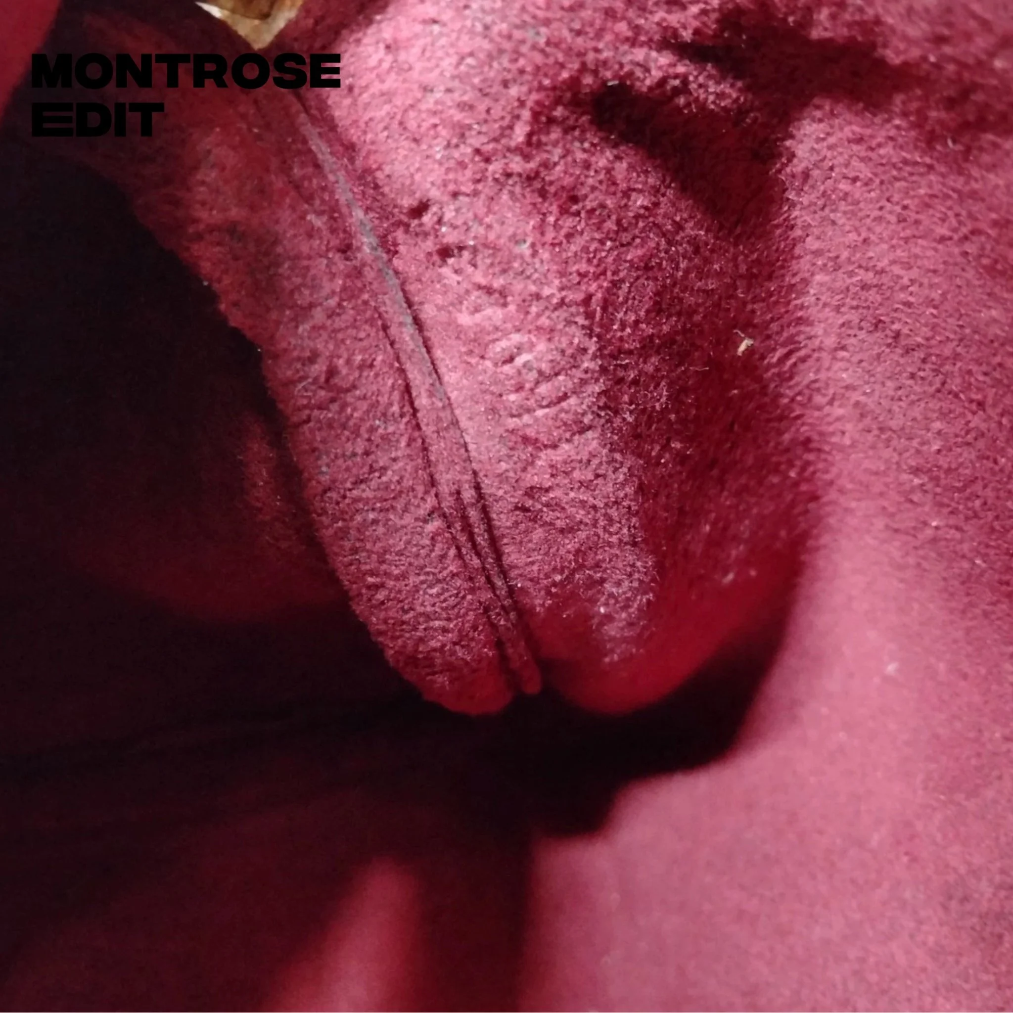 Bazaart_B0327276-84A3-4A90-9BF7-0D5CB9133055 2.JPEG