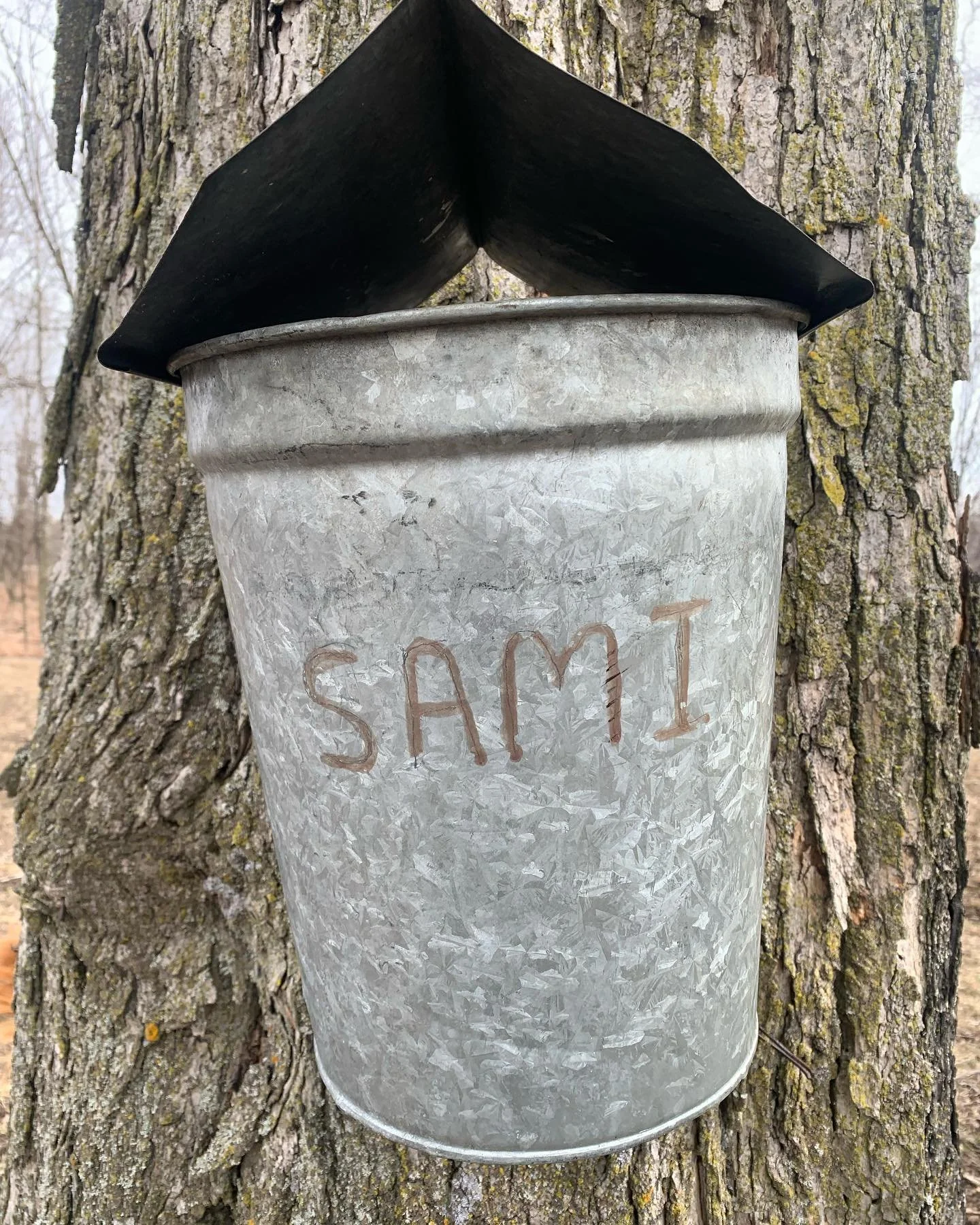 help sami kick cancer foundation, sami's name on a bird bat shelter, metal tin