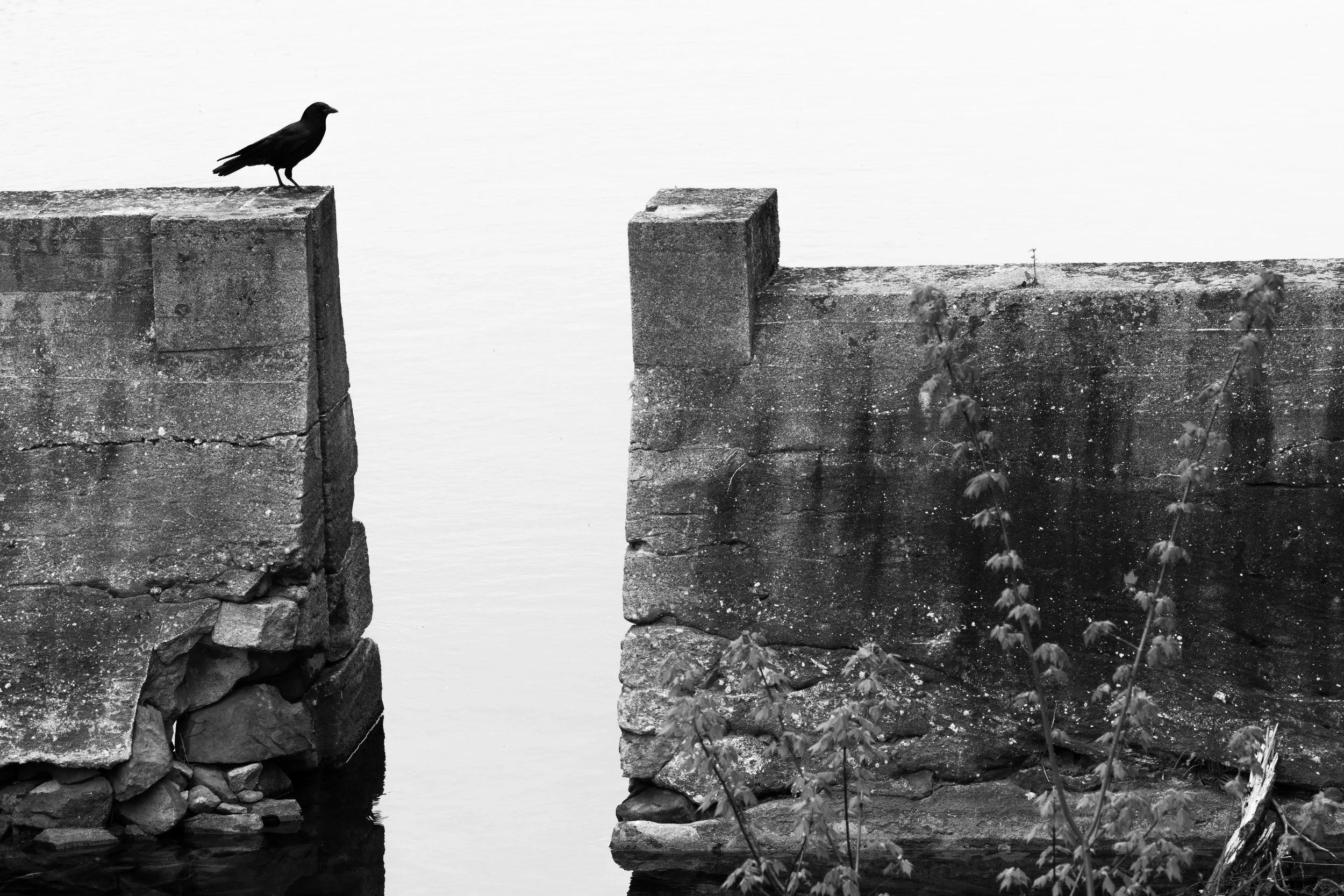 portfolio_-63.jpg