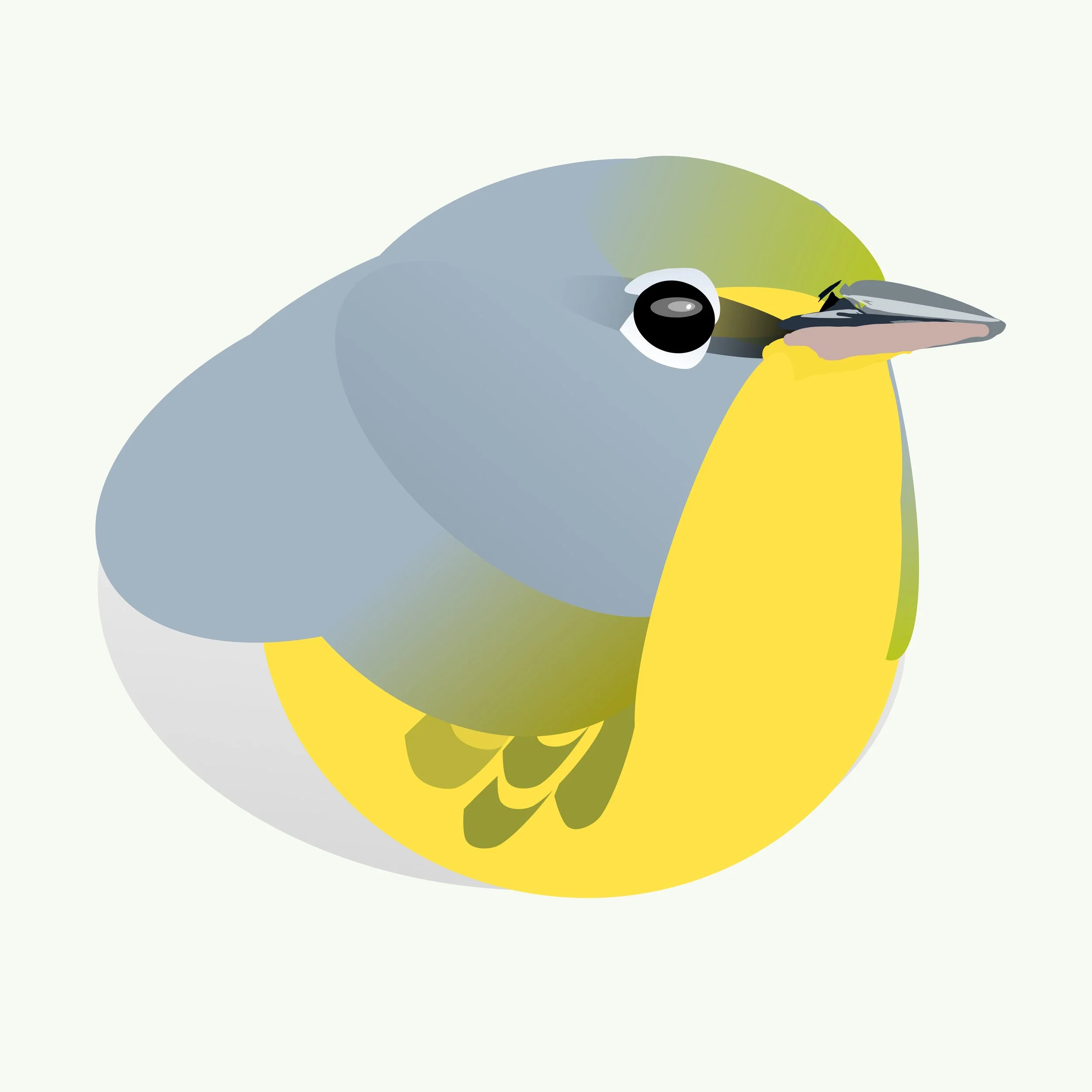 Pine Parula