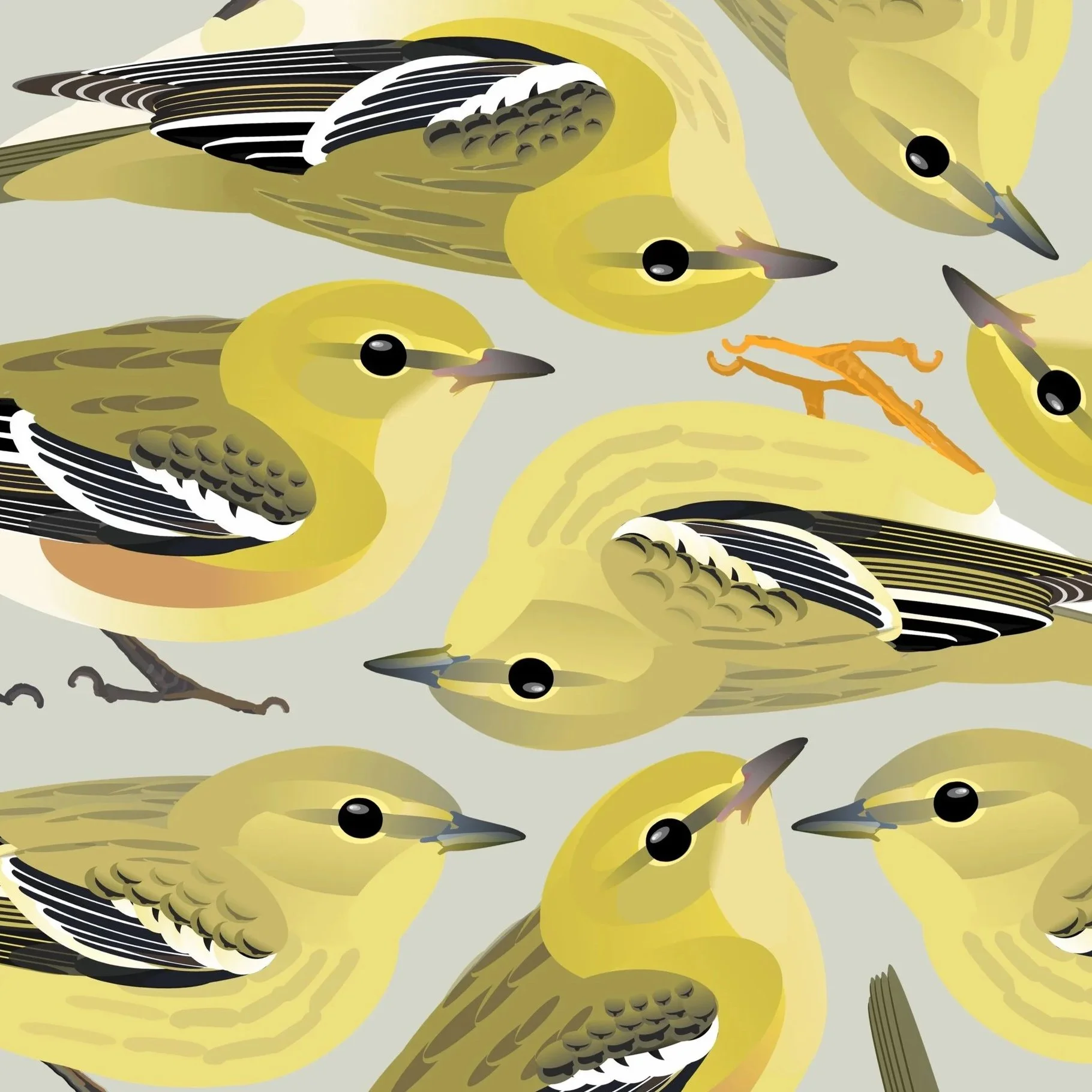 Fall Warbler Identification: Bay-breasted vs. Blackpoll
