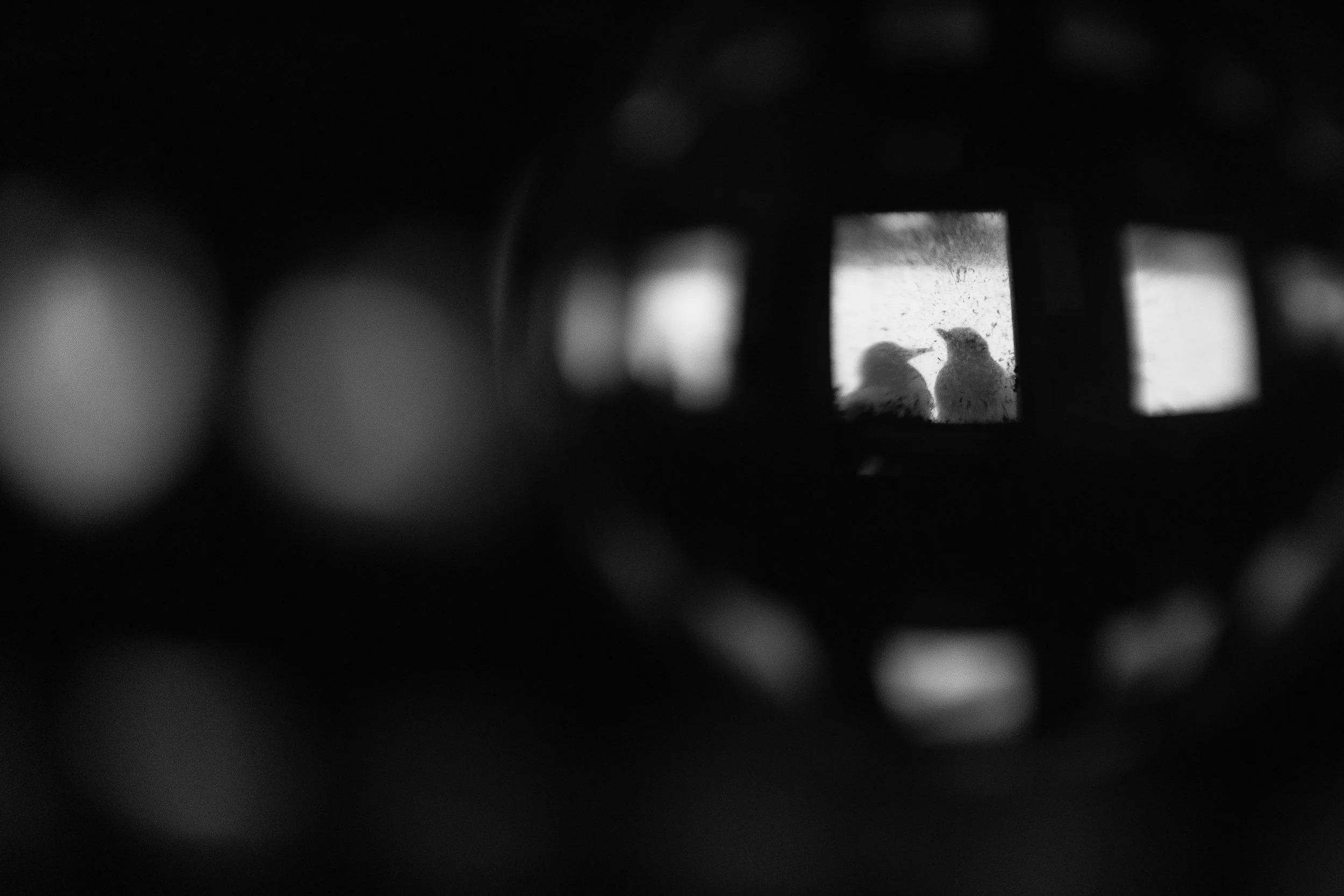 B&W-01.jpg
