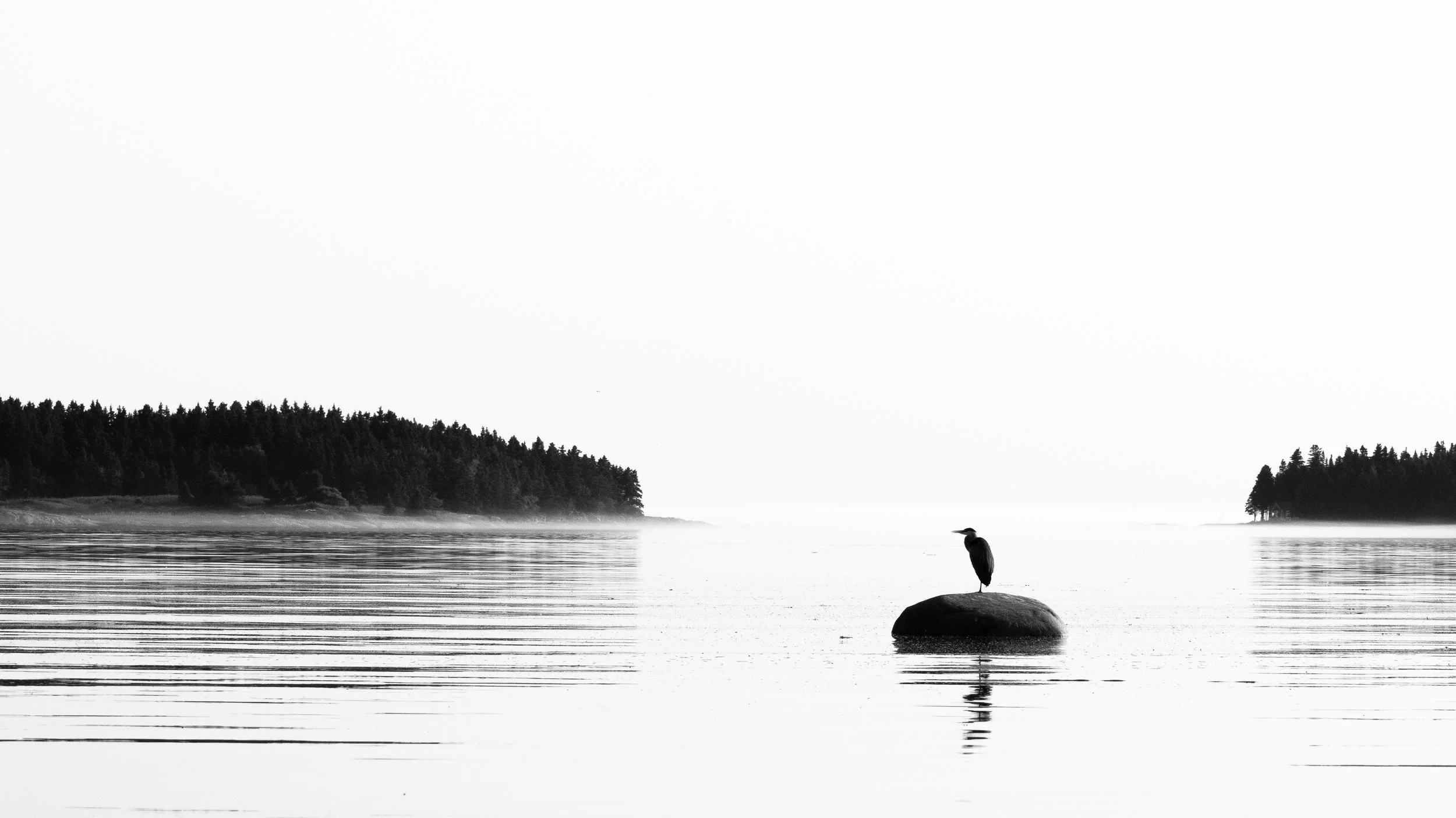B&W-14.jpg