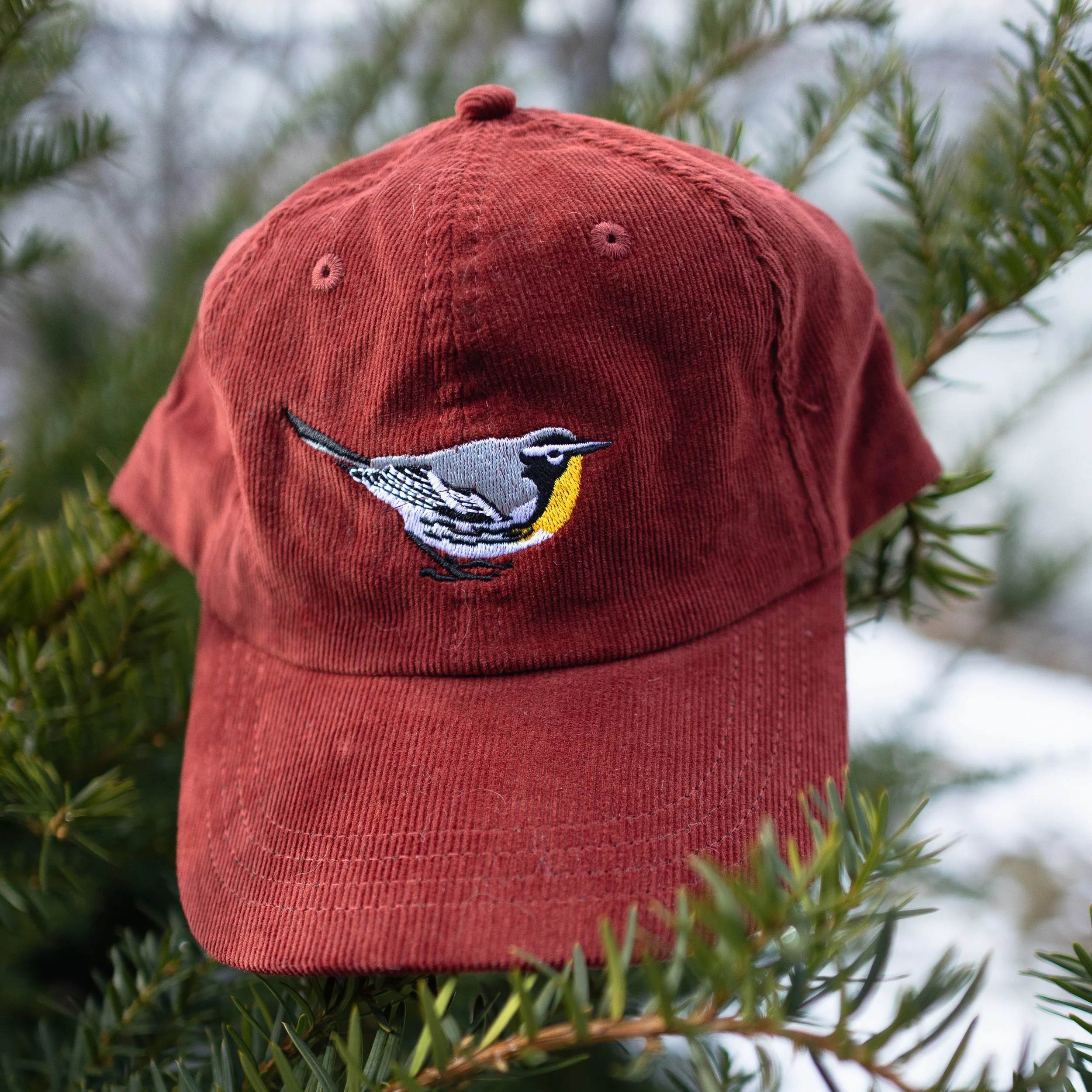 Warbler Inc. - YTWA Embroidered Vintage corduroy cap