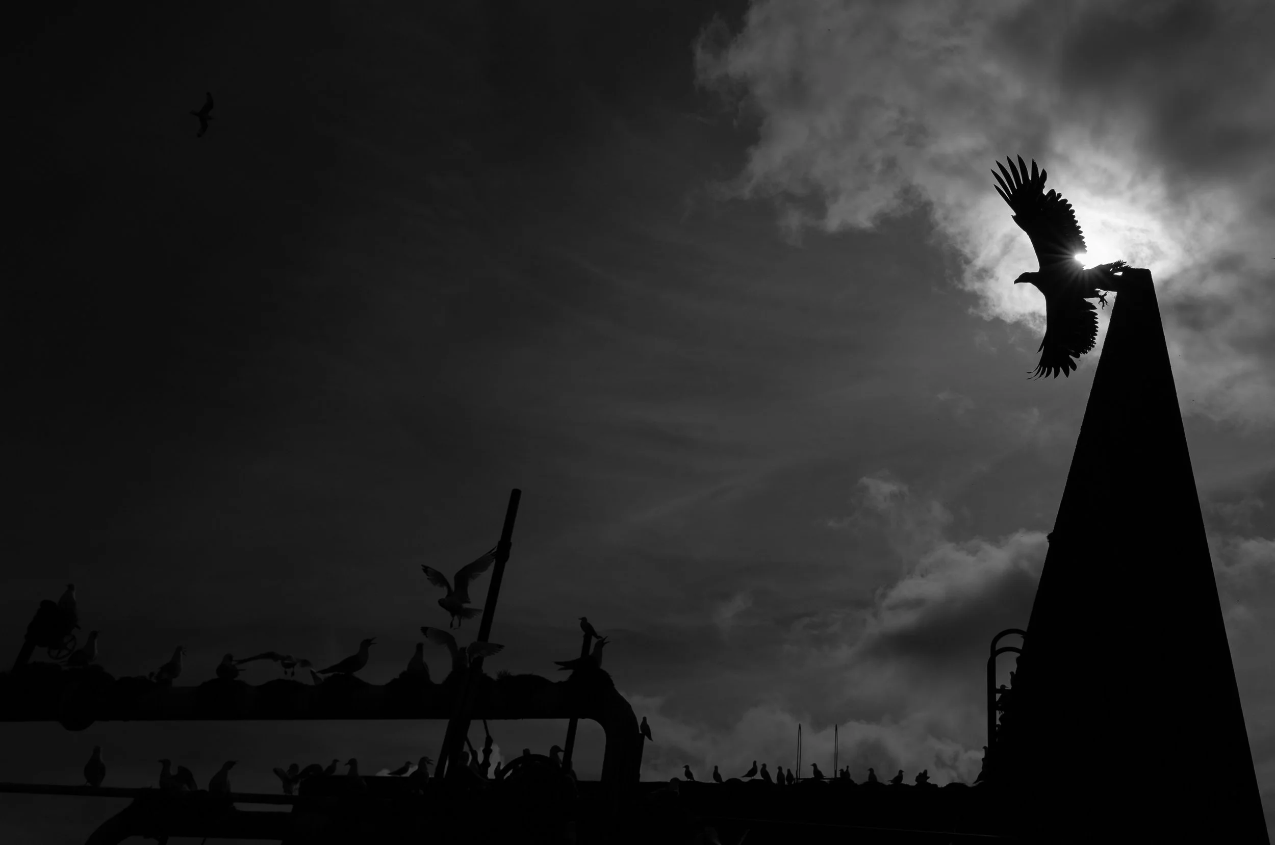 B&W-04.jpg