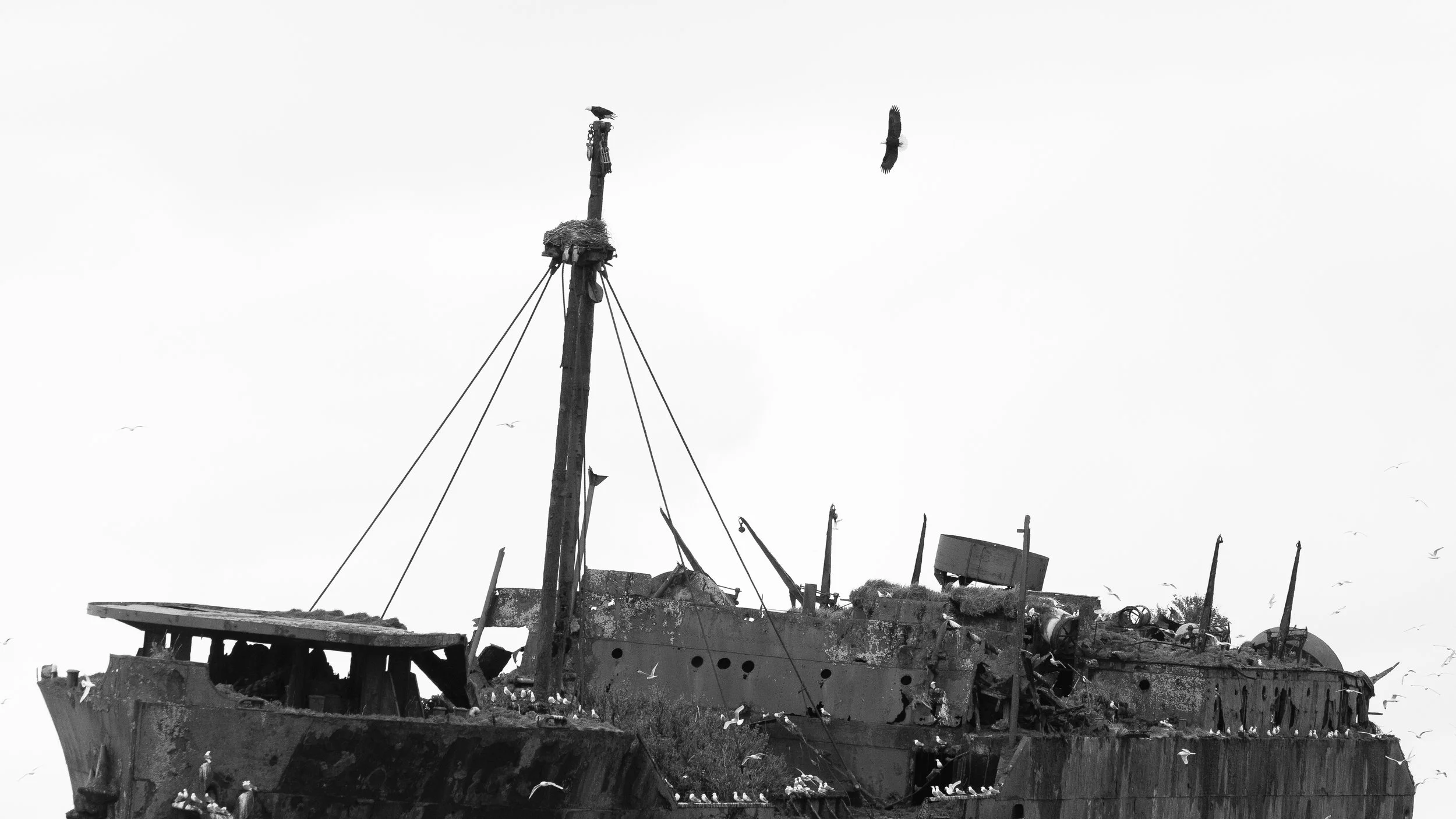 MDOF-13.jpg