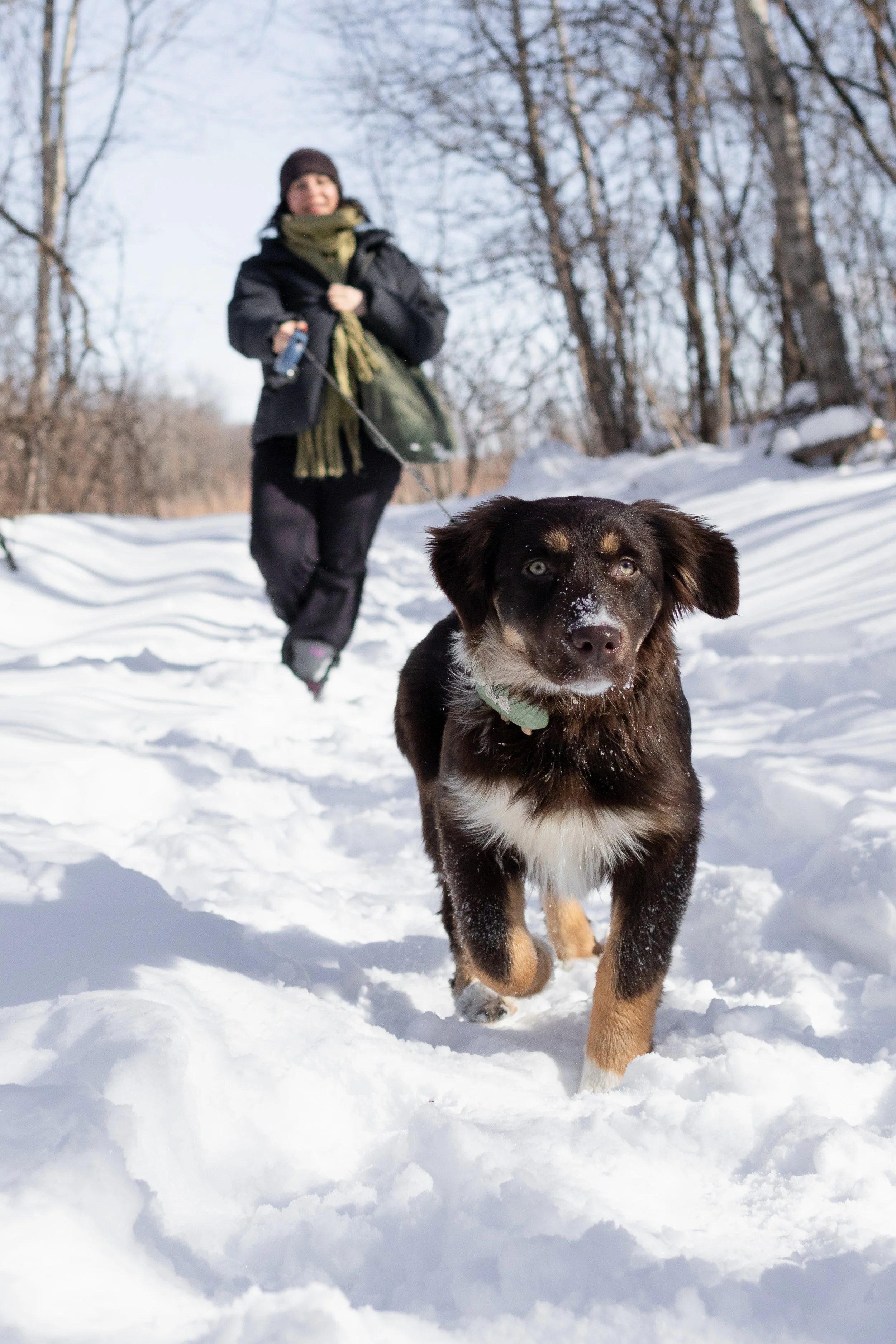 pet_photoshoots-34.jpg
