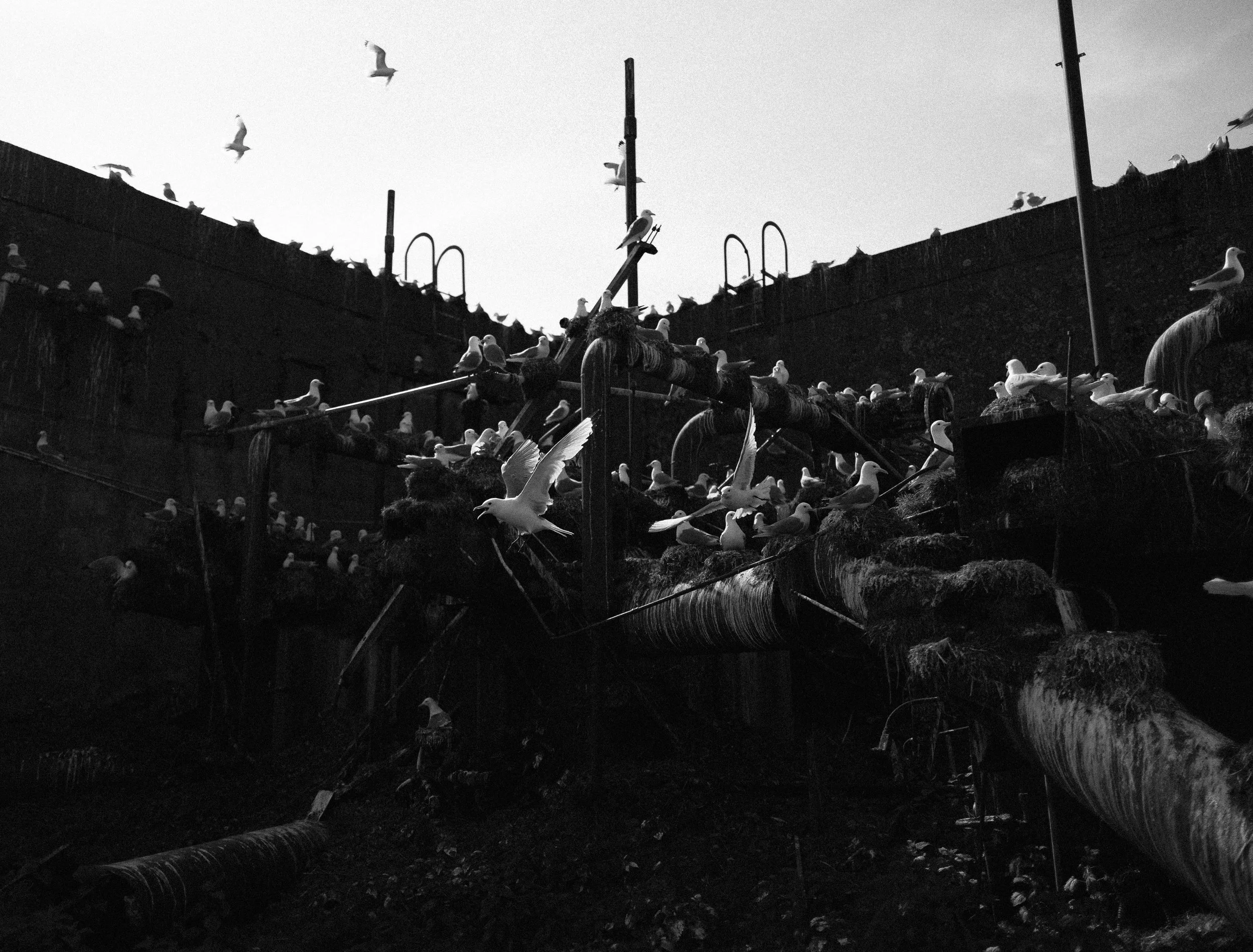 B&W-08.jpg