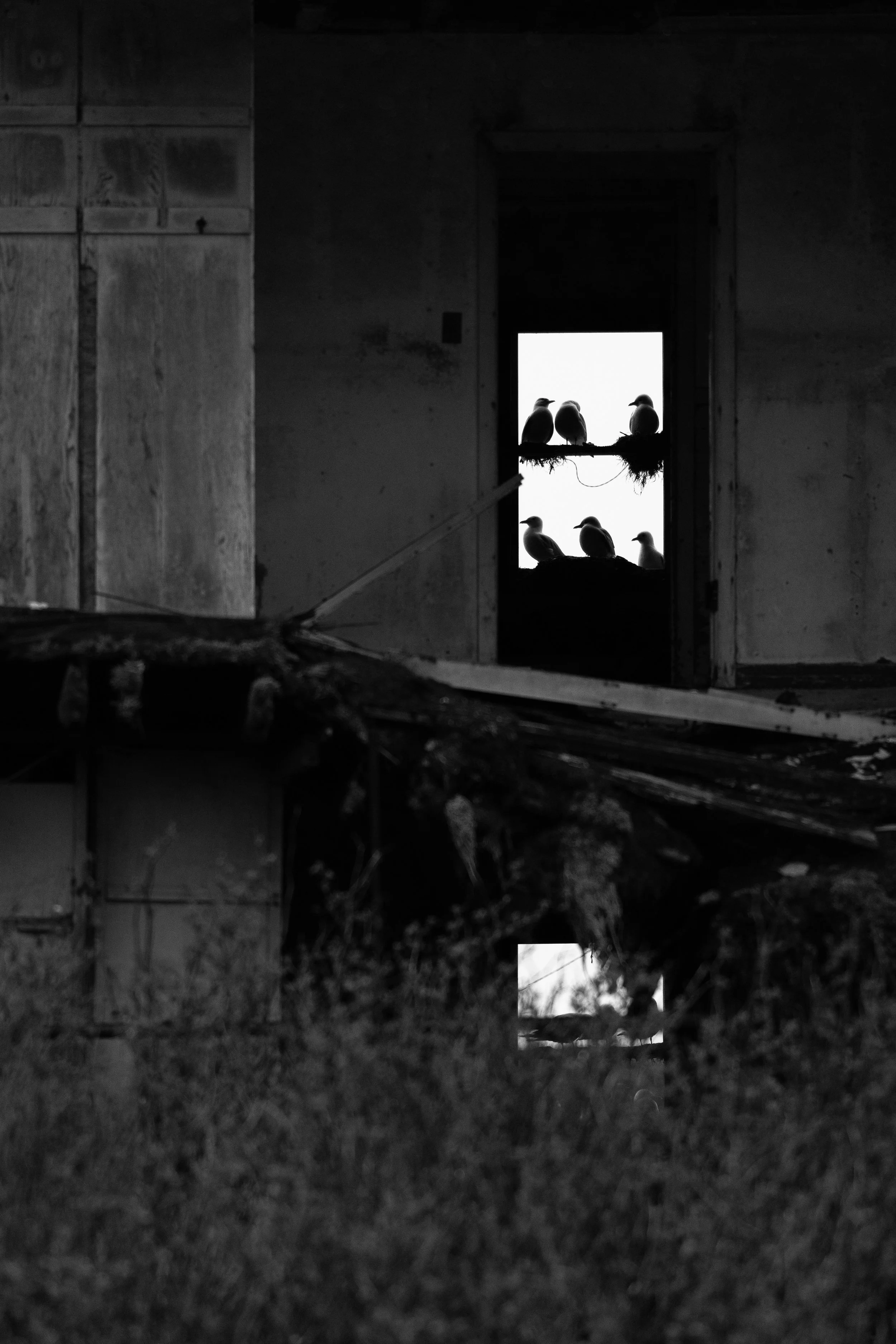 B&W-10.jpg
