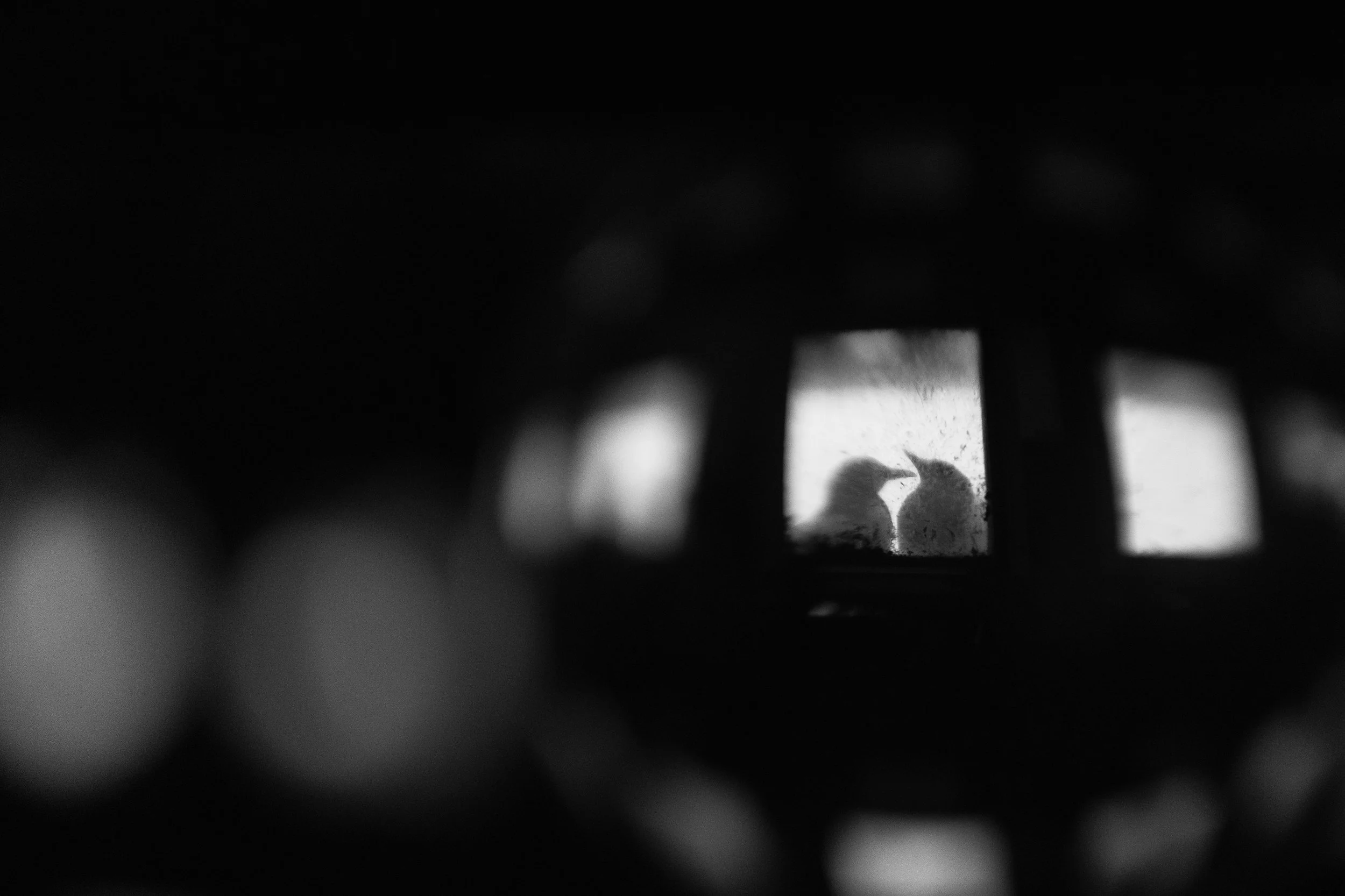B&W-01.jpg