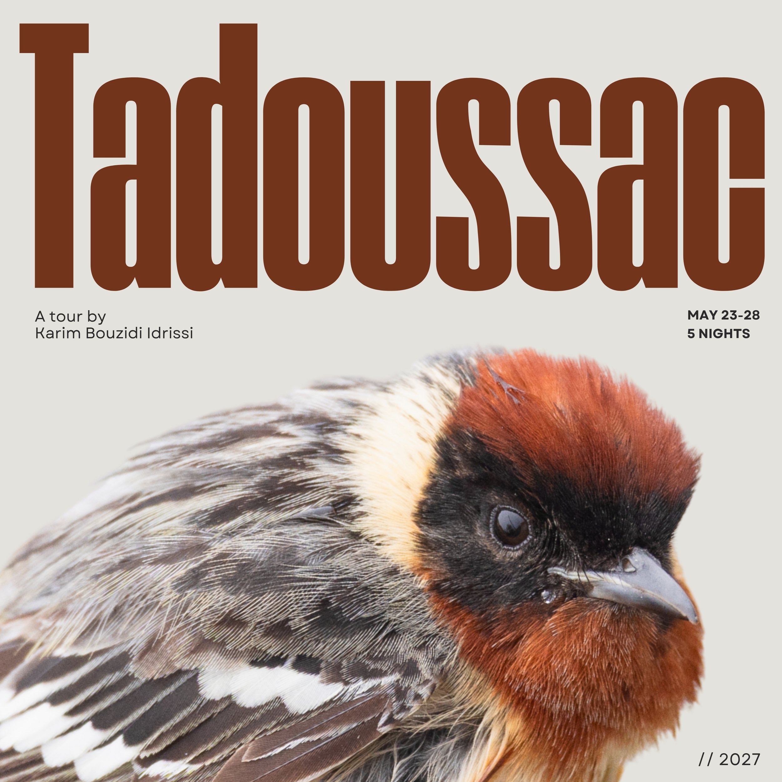 Tadoussac Fallout Tour (2027)