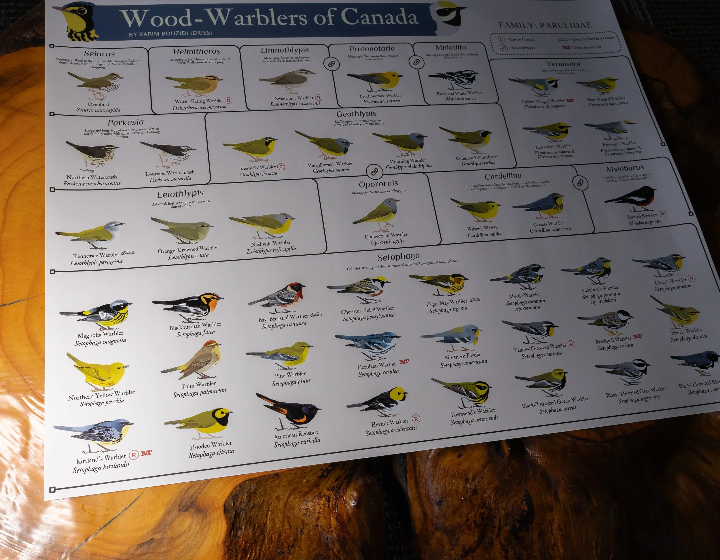 wonc_poster-2.jpg