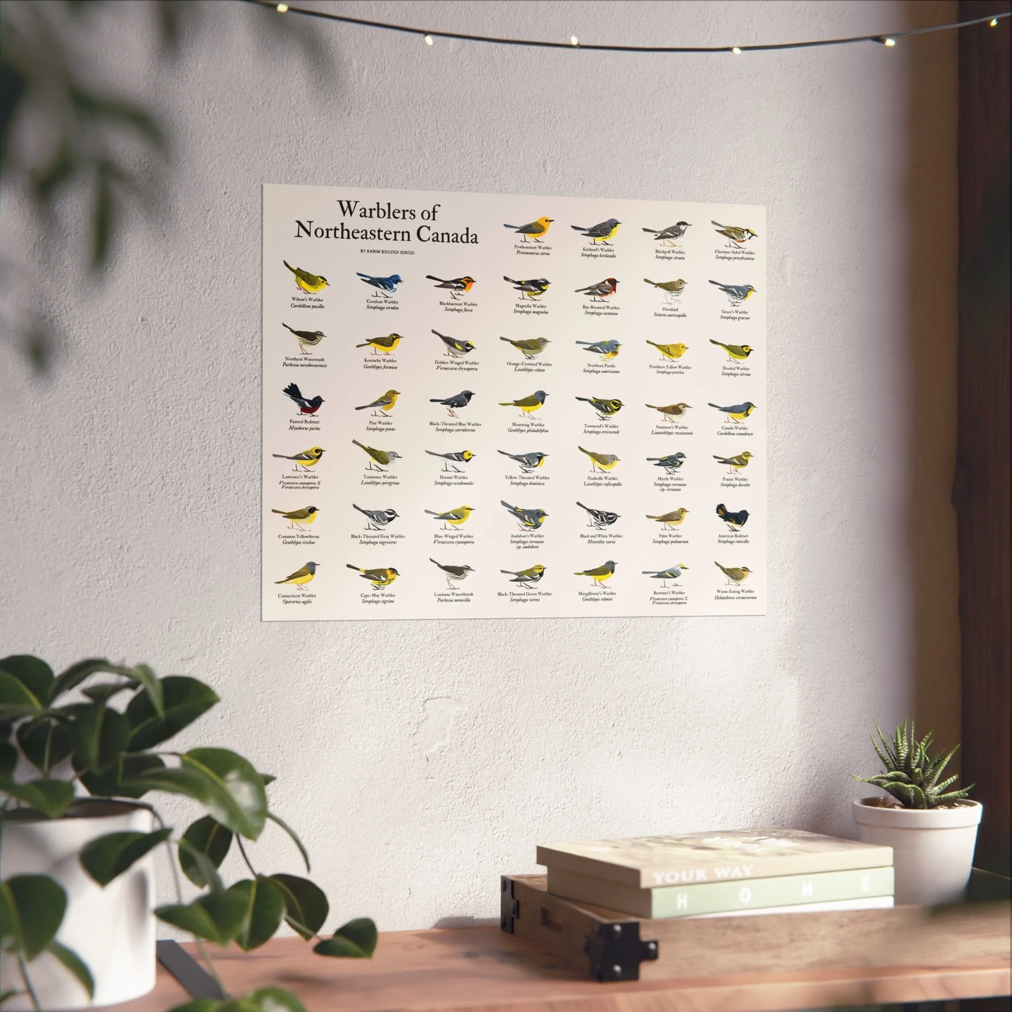 Warblers of Northeastern Canada (2nd edition) - Matte Paper Poster (40x50 cm / 16x20″)