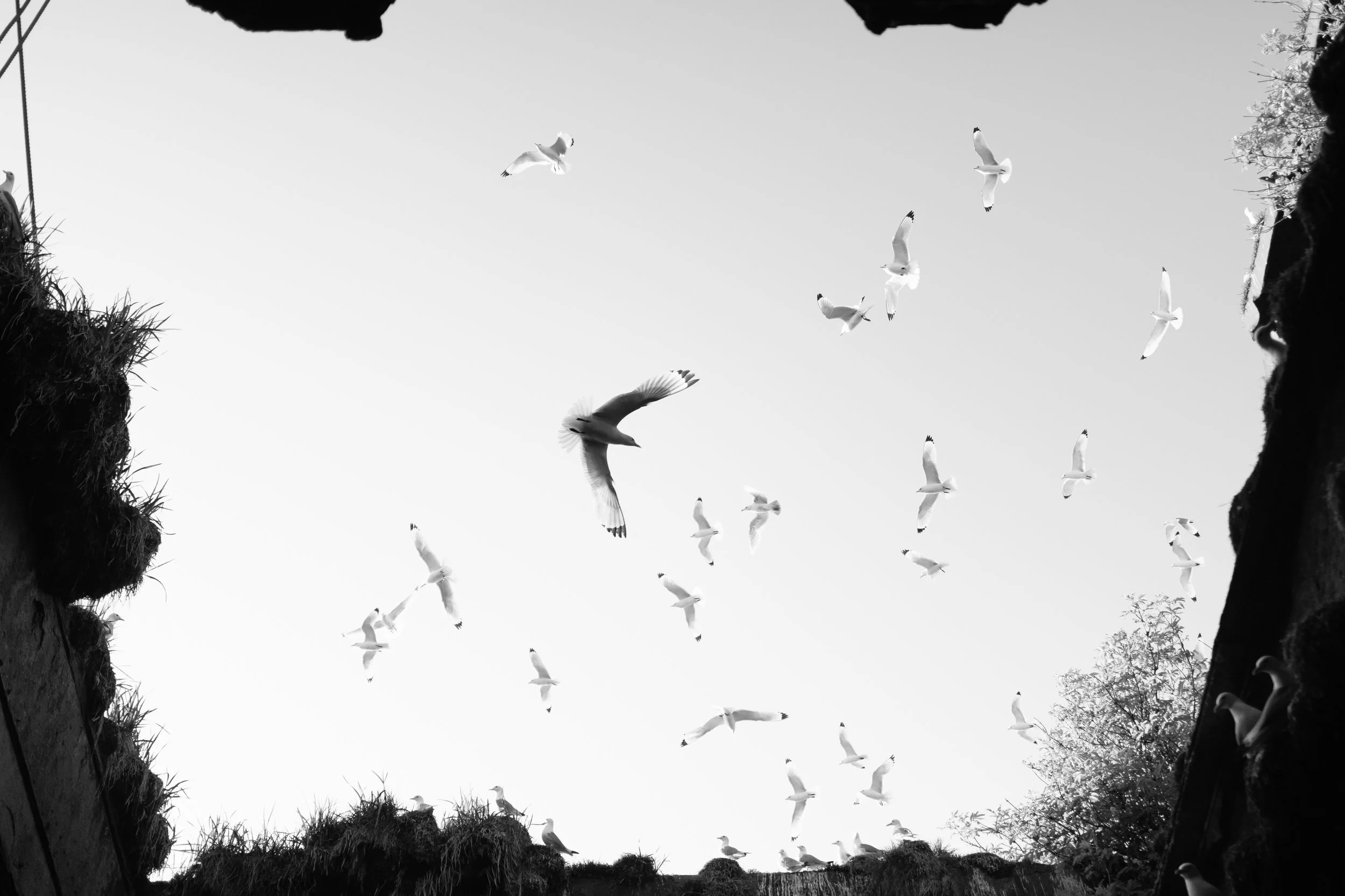 B&W-23.jpg