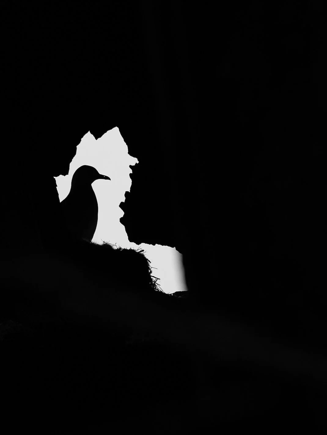 B&W-22.jpg