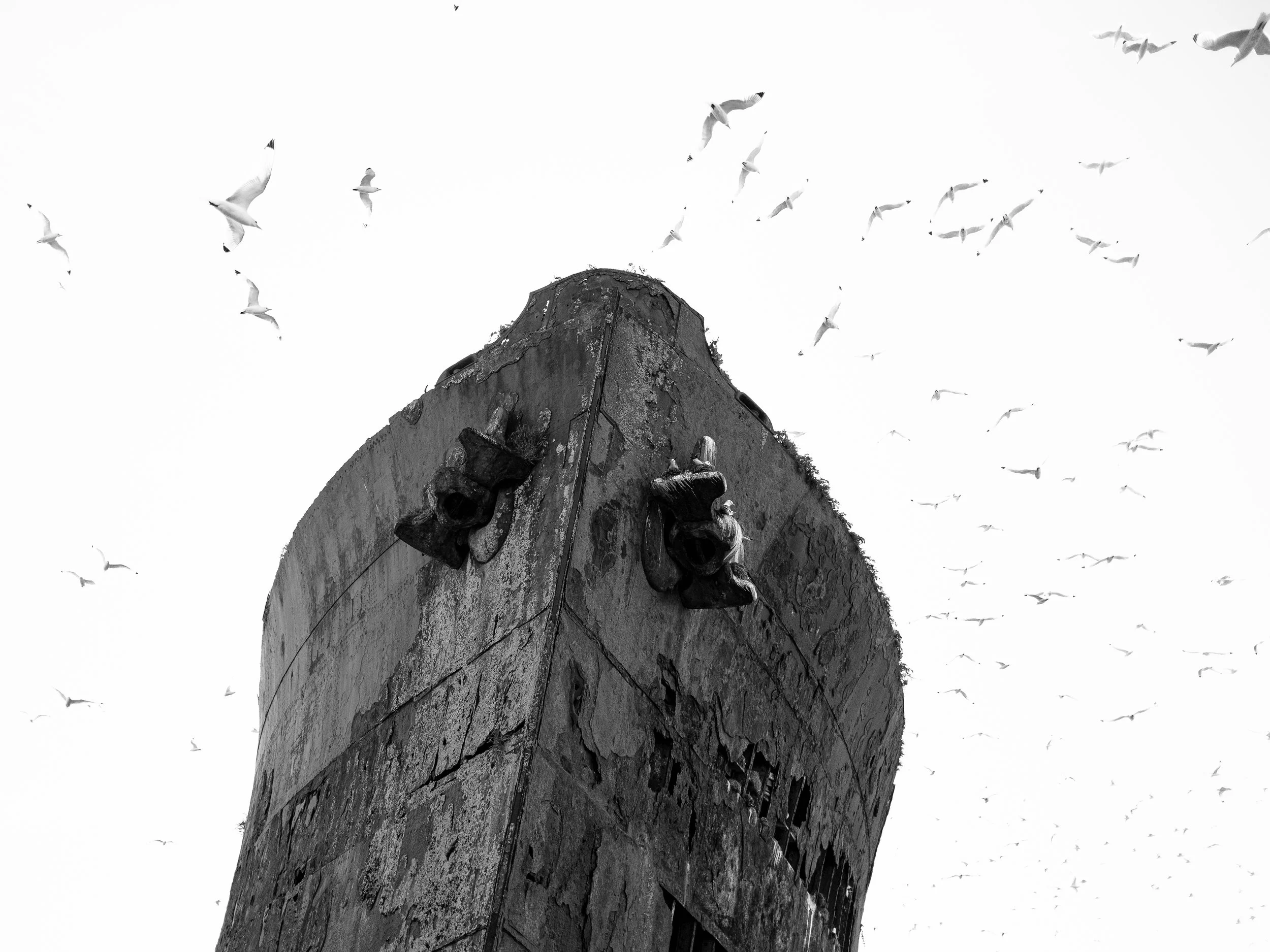 B&W-11.jpg