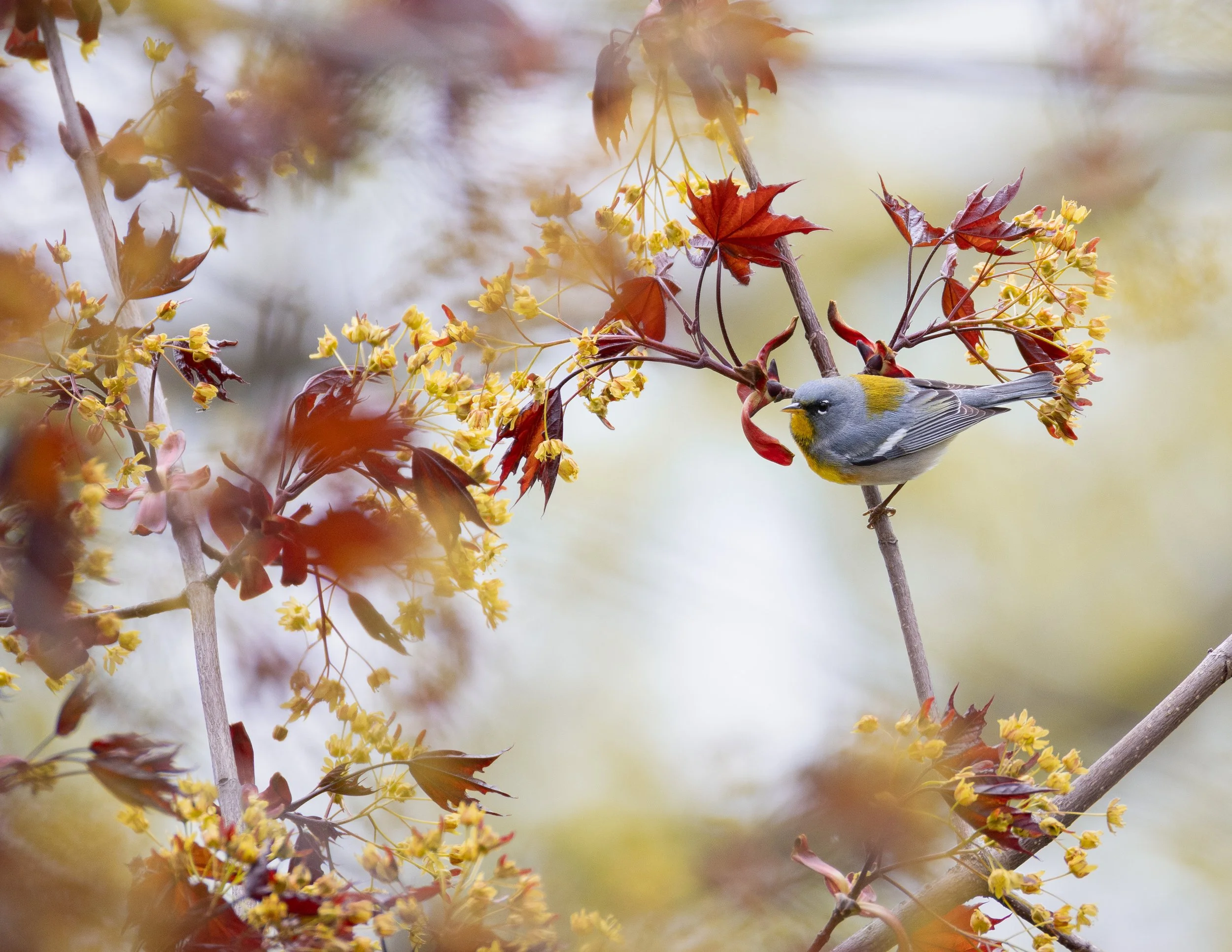 portfolio_-70.jpg