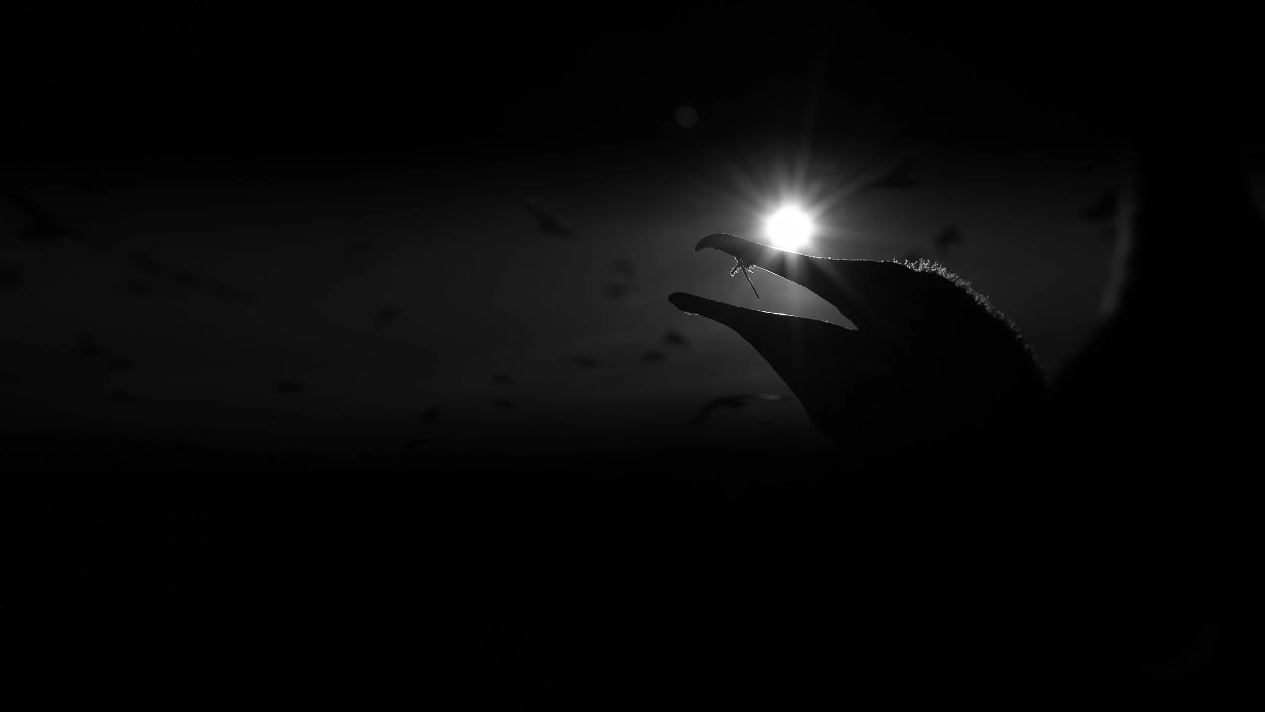 B&W-02.jpg