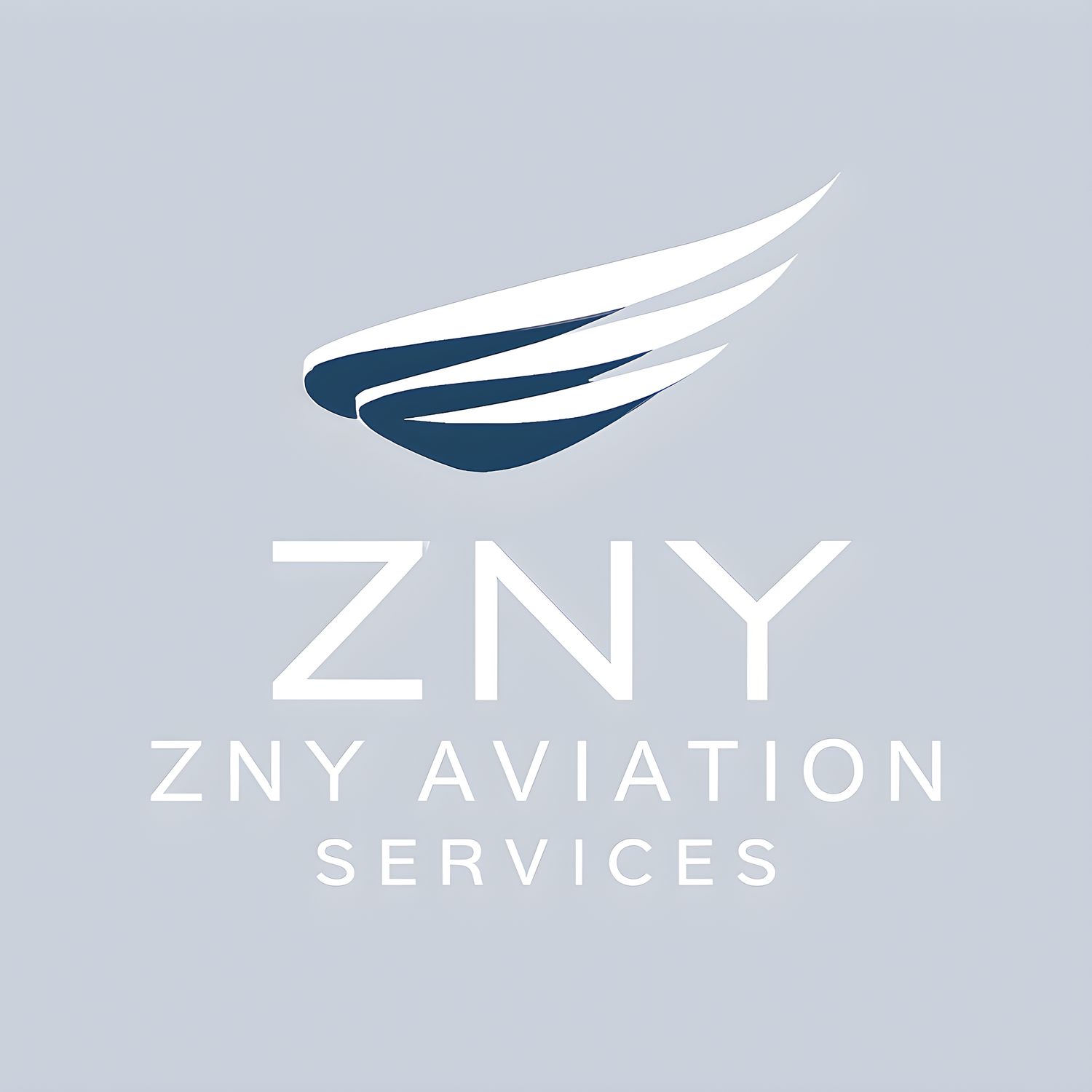 ZNY AVIATION SERVICES LLC