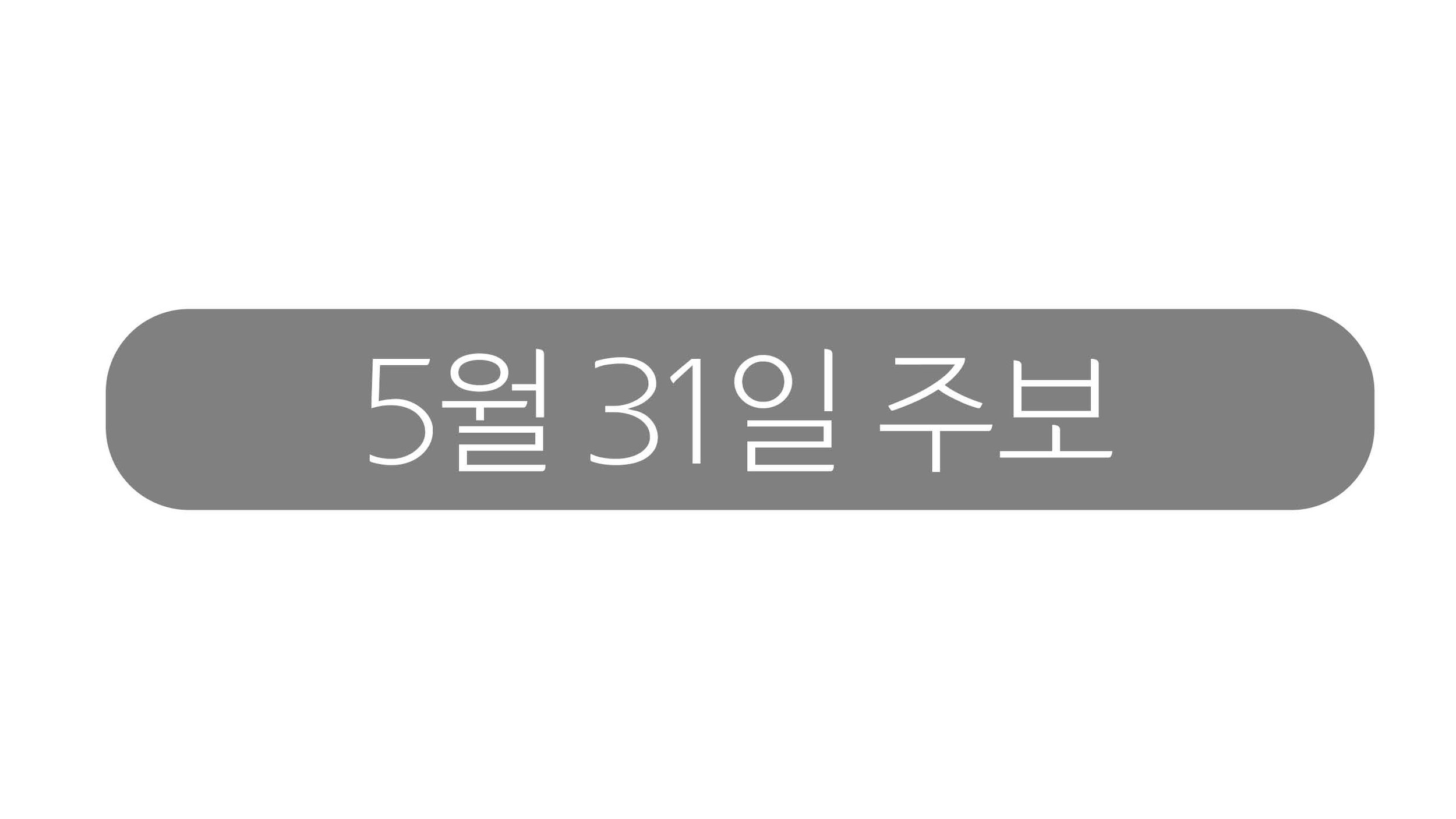 5월31일 주보