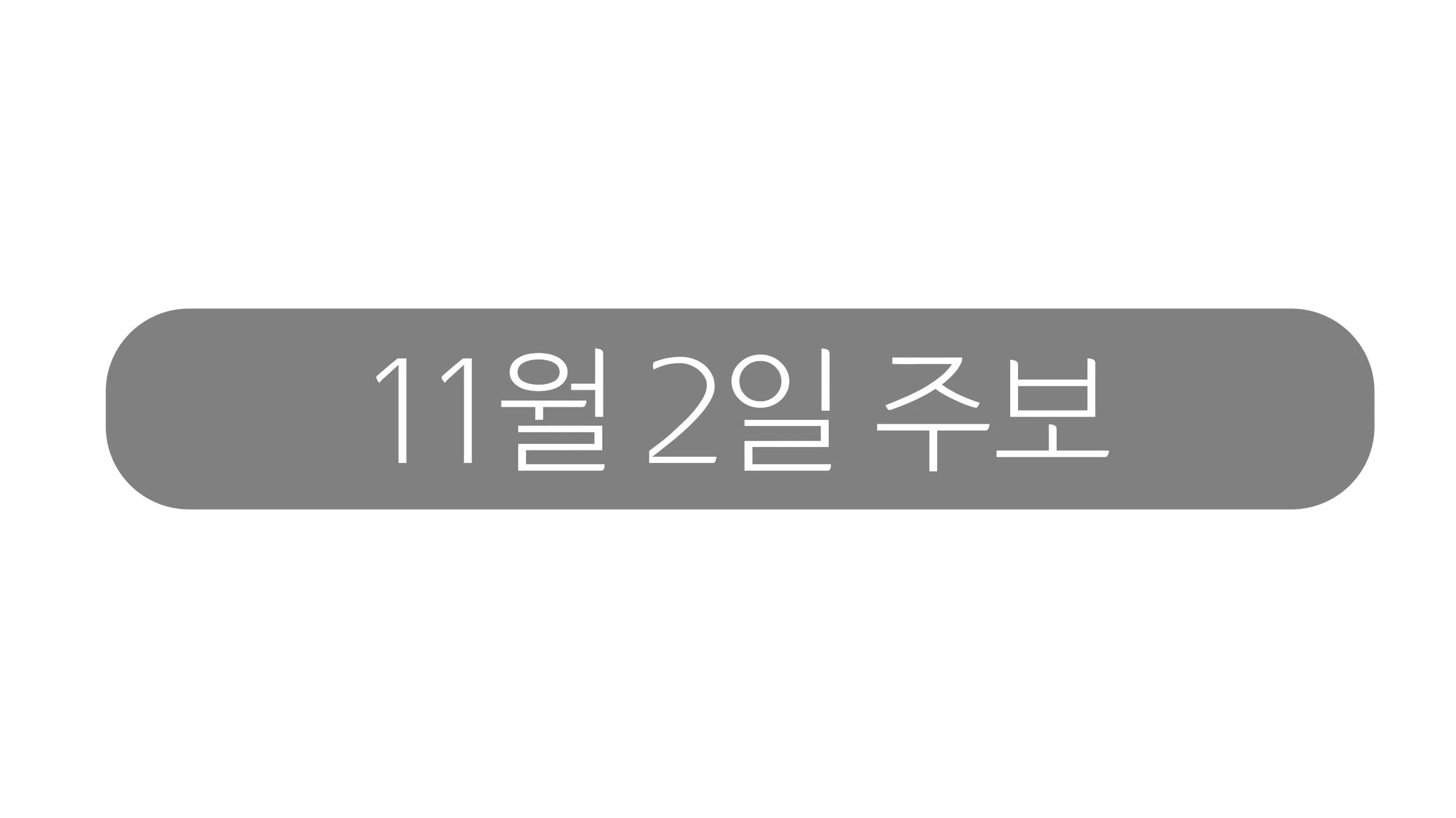11월2일 주보