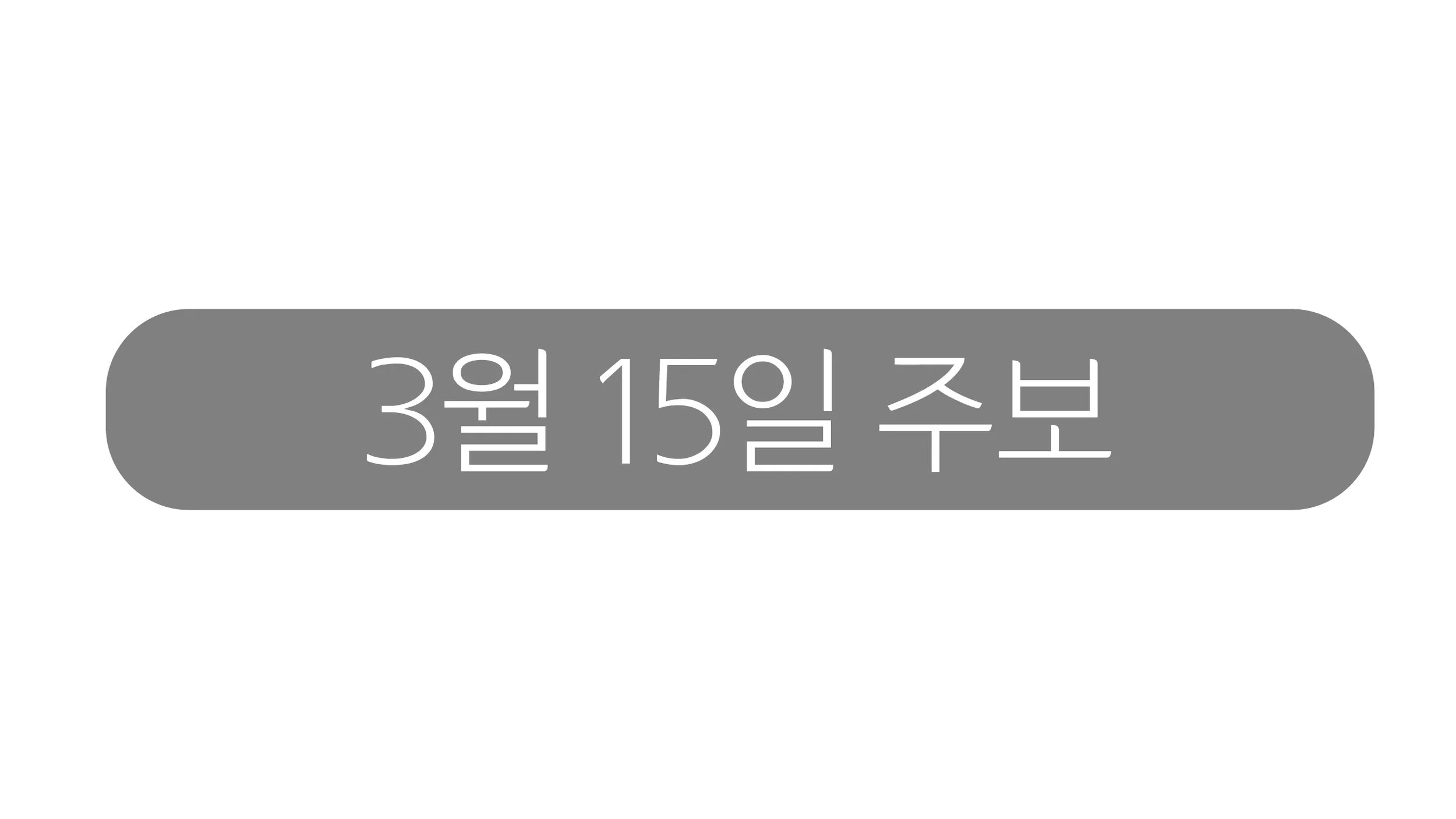 3월15일 주보
