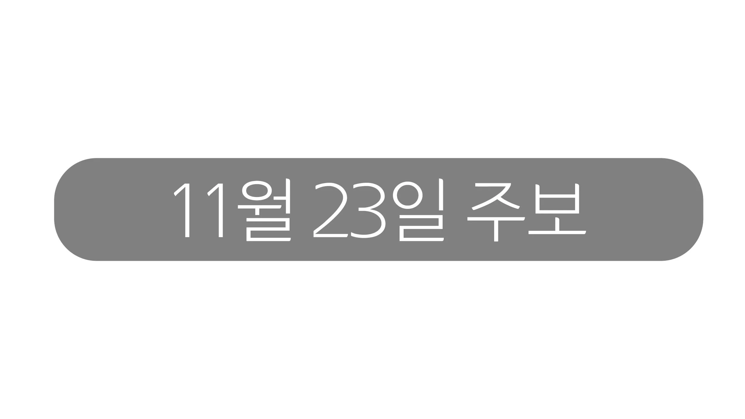 11월23일 주보