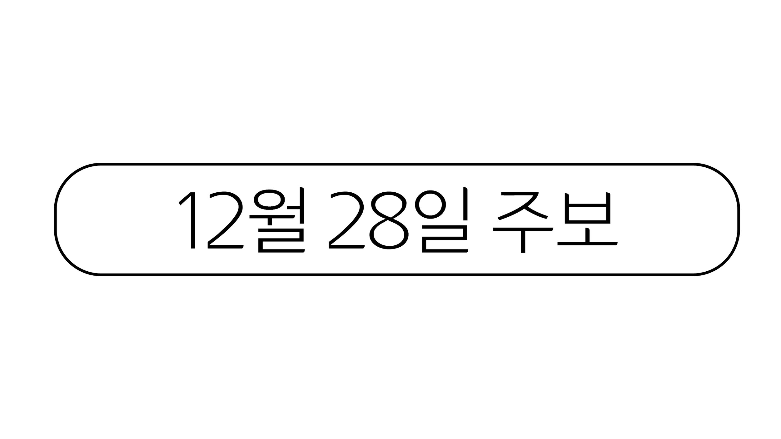 12월28일 주보