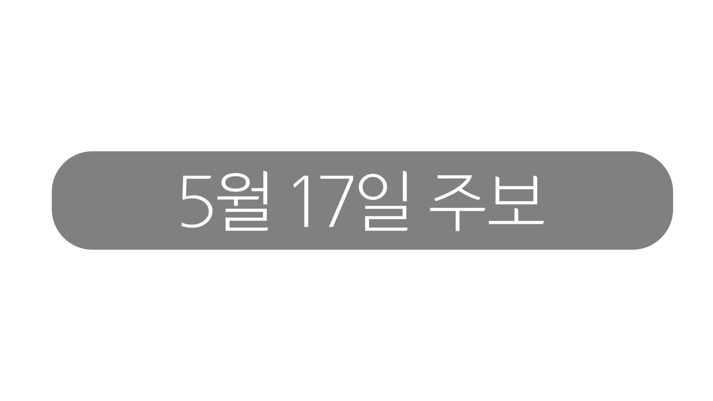 5월17일 주보