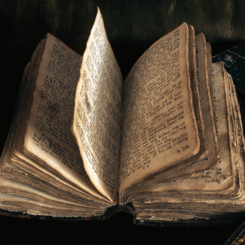 Grimoire  |  A Series